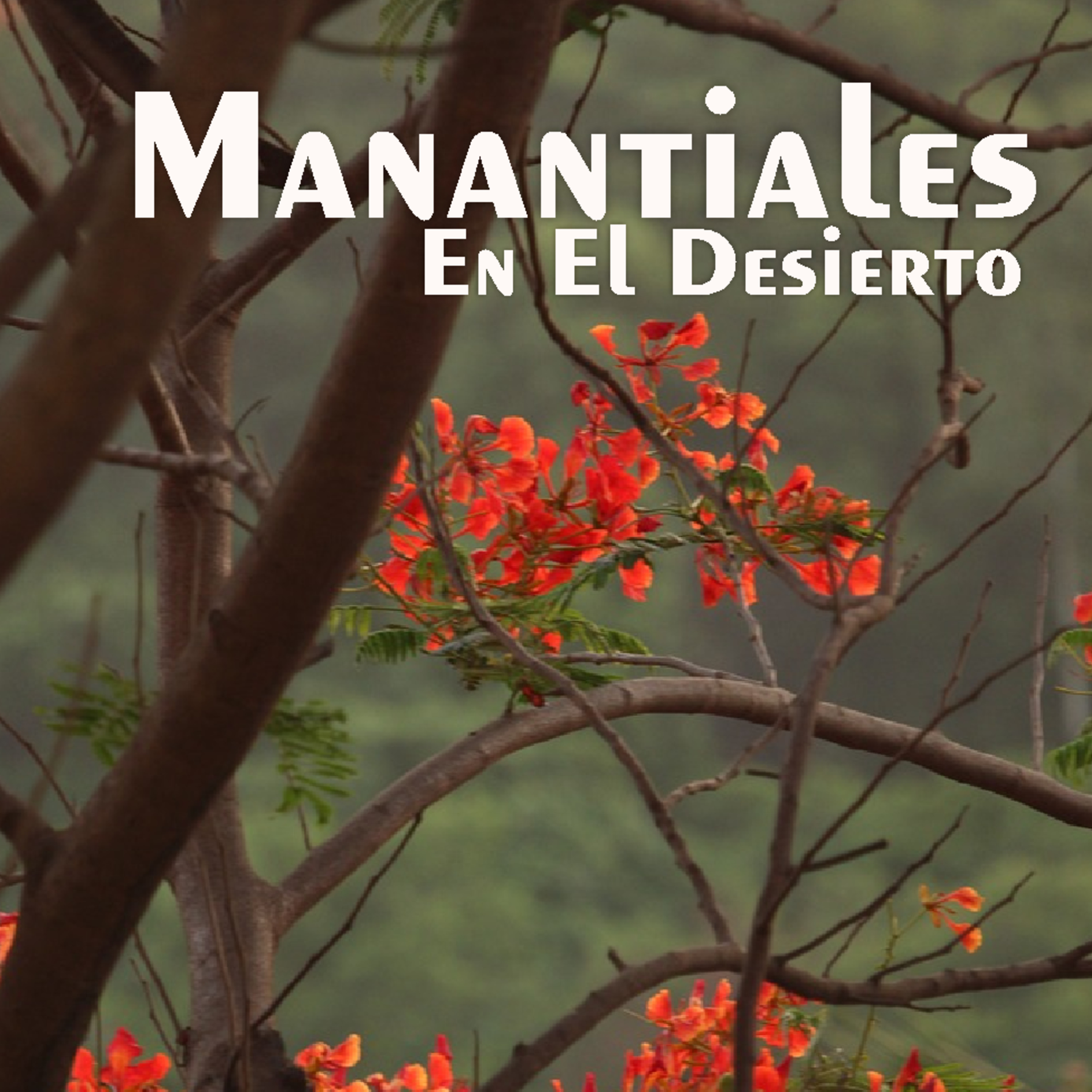 Manantiales en el Desierto - 7 de Abril episode artwork