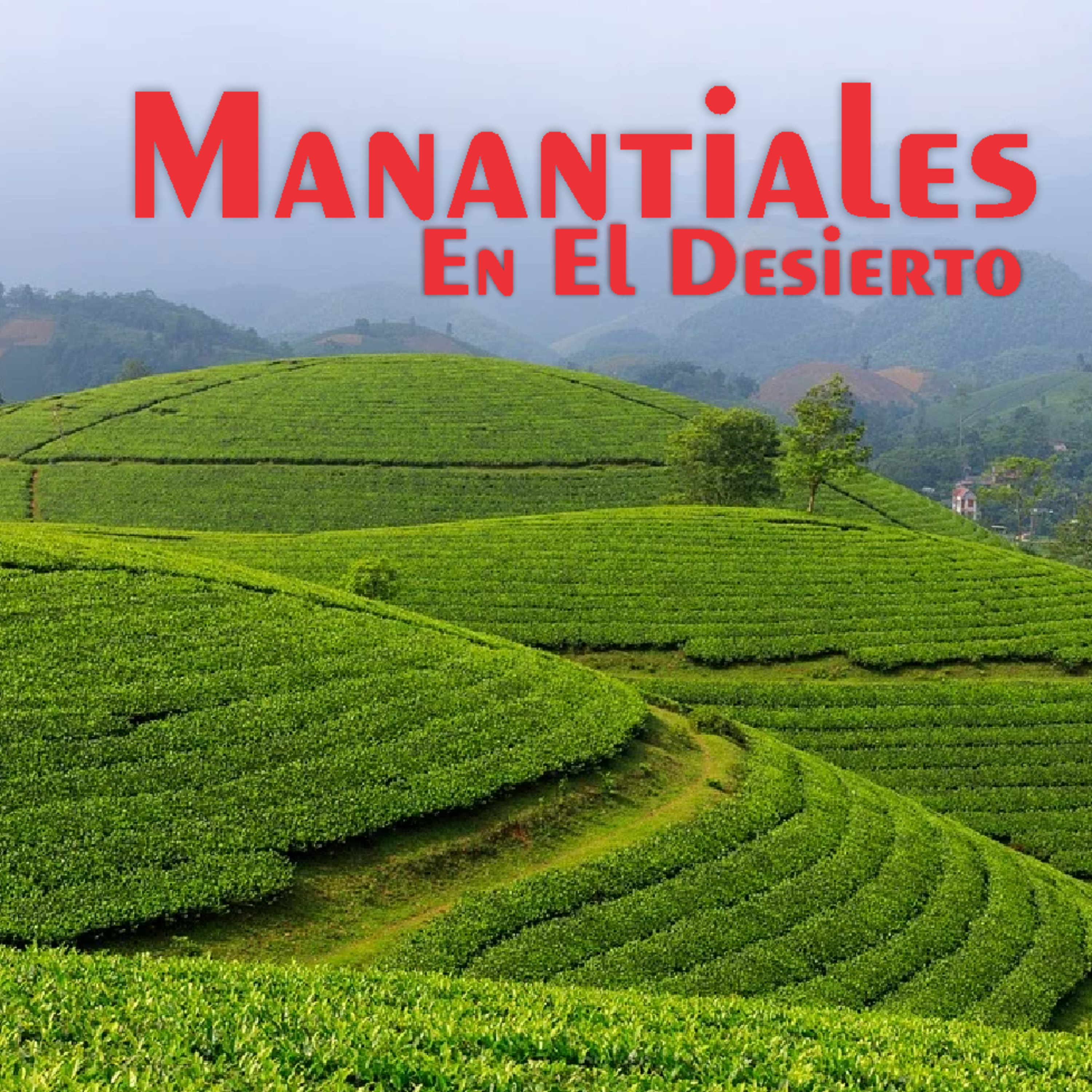 Manantiales en el Desierto - 1 de Mayo episode artwork