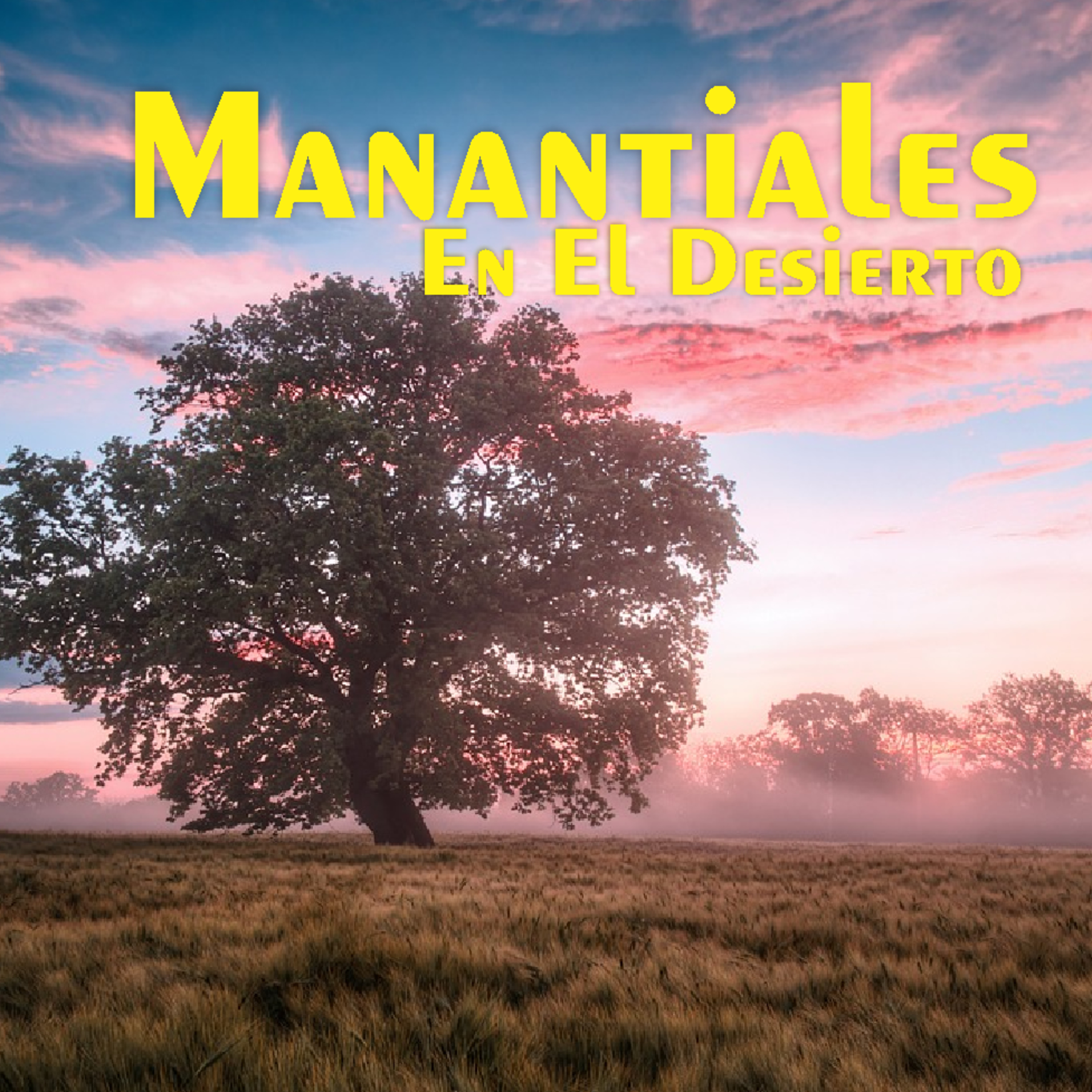 Manantiales en el Desierto - 3 de Mayo episode artwork