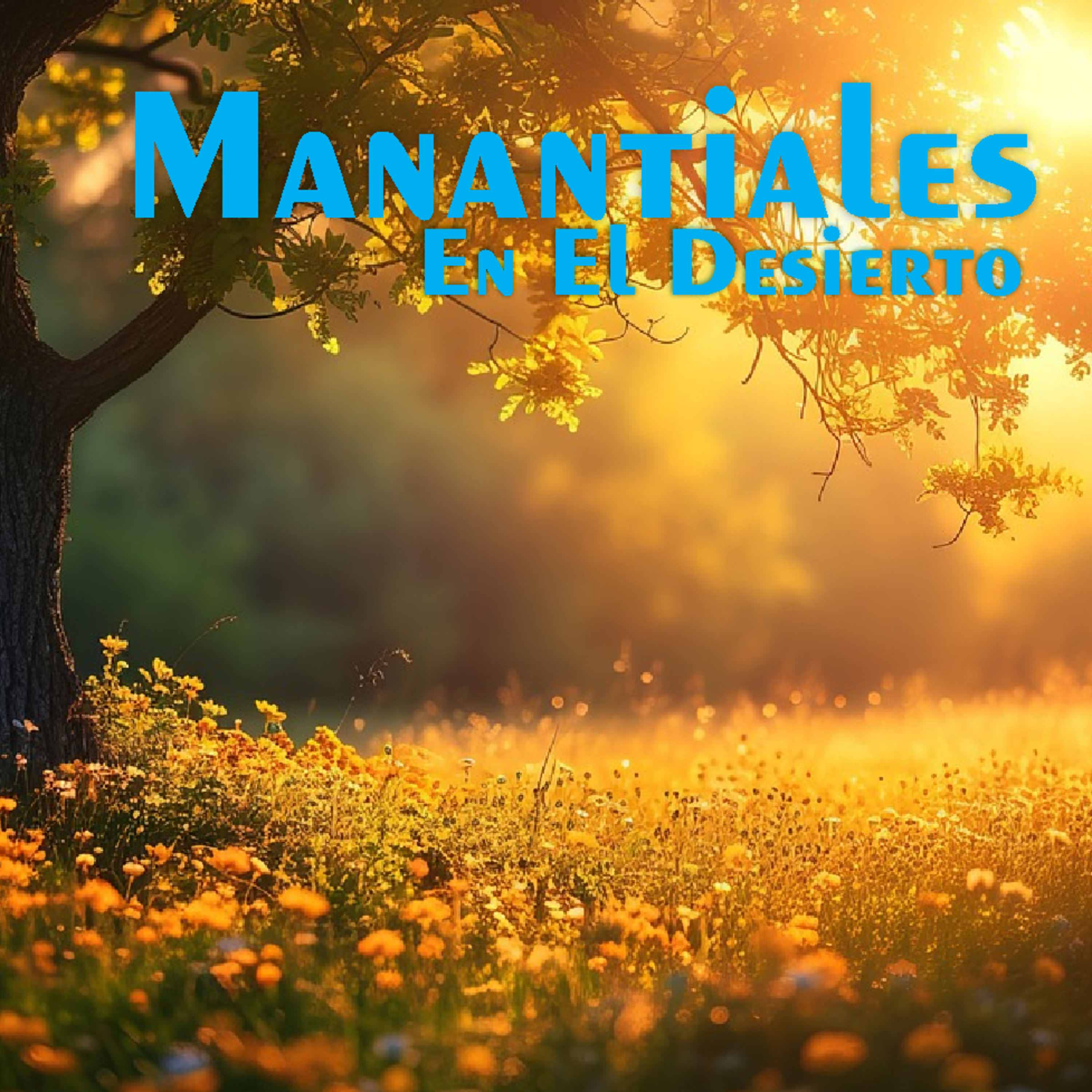 Manantiales en el Desierto - 5 de Mayo episode artwork