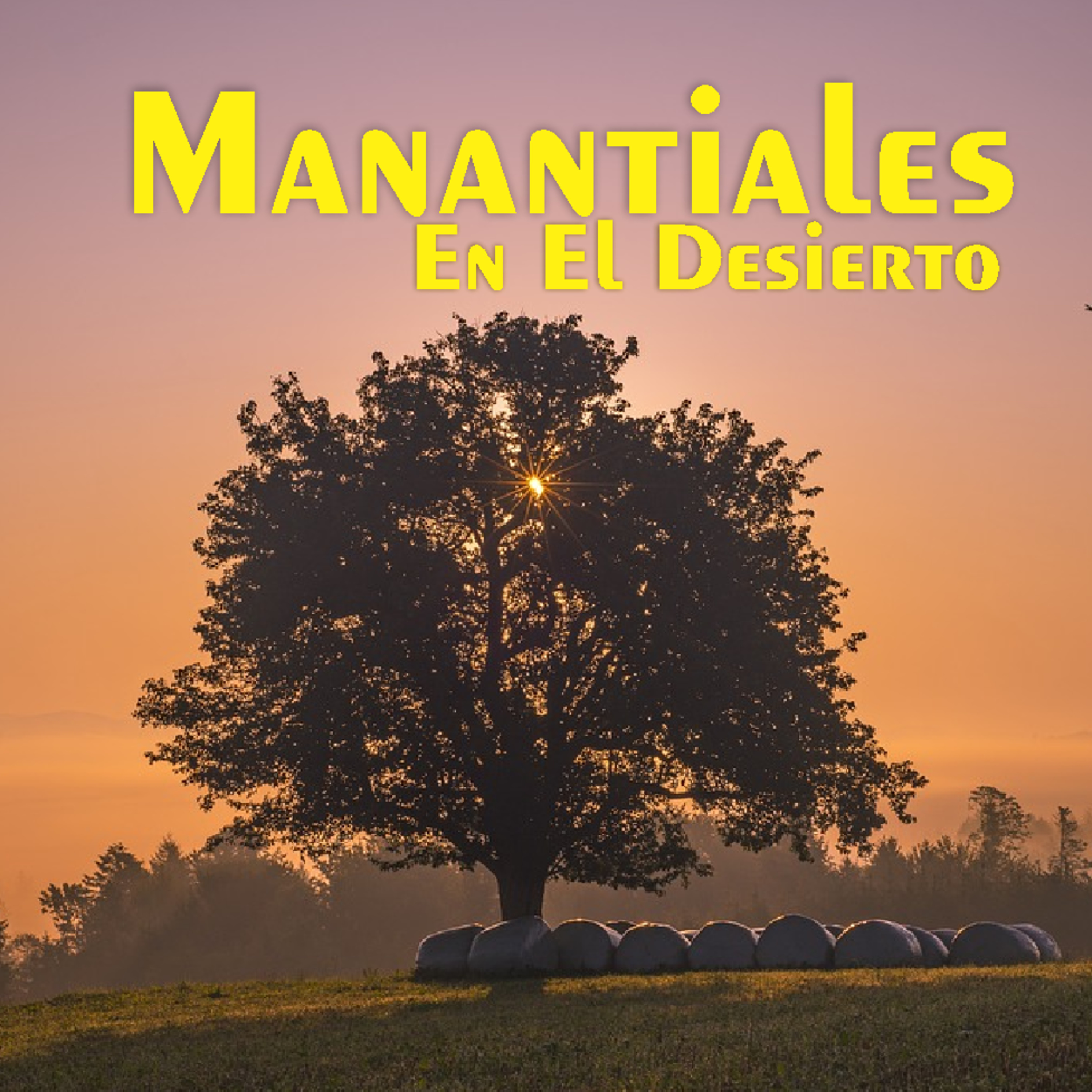 Manantiales en el Desierto - 12 de Mayo episode artwork