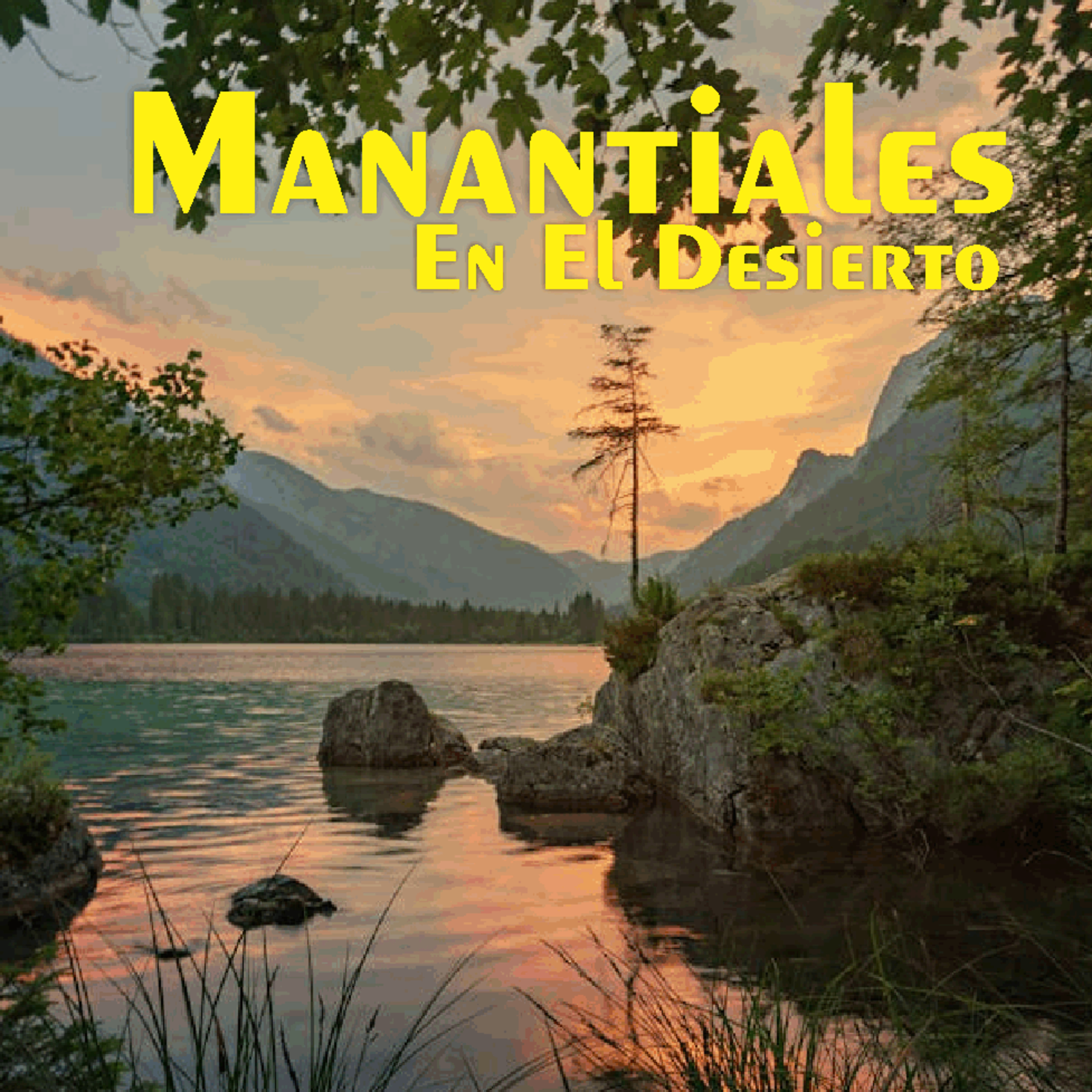 Manantiales en el Desierto - 31 de Mayo episode artwork