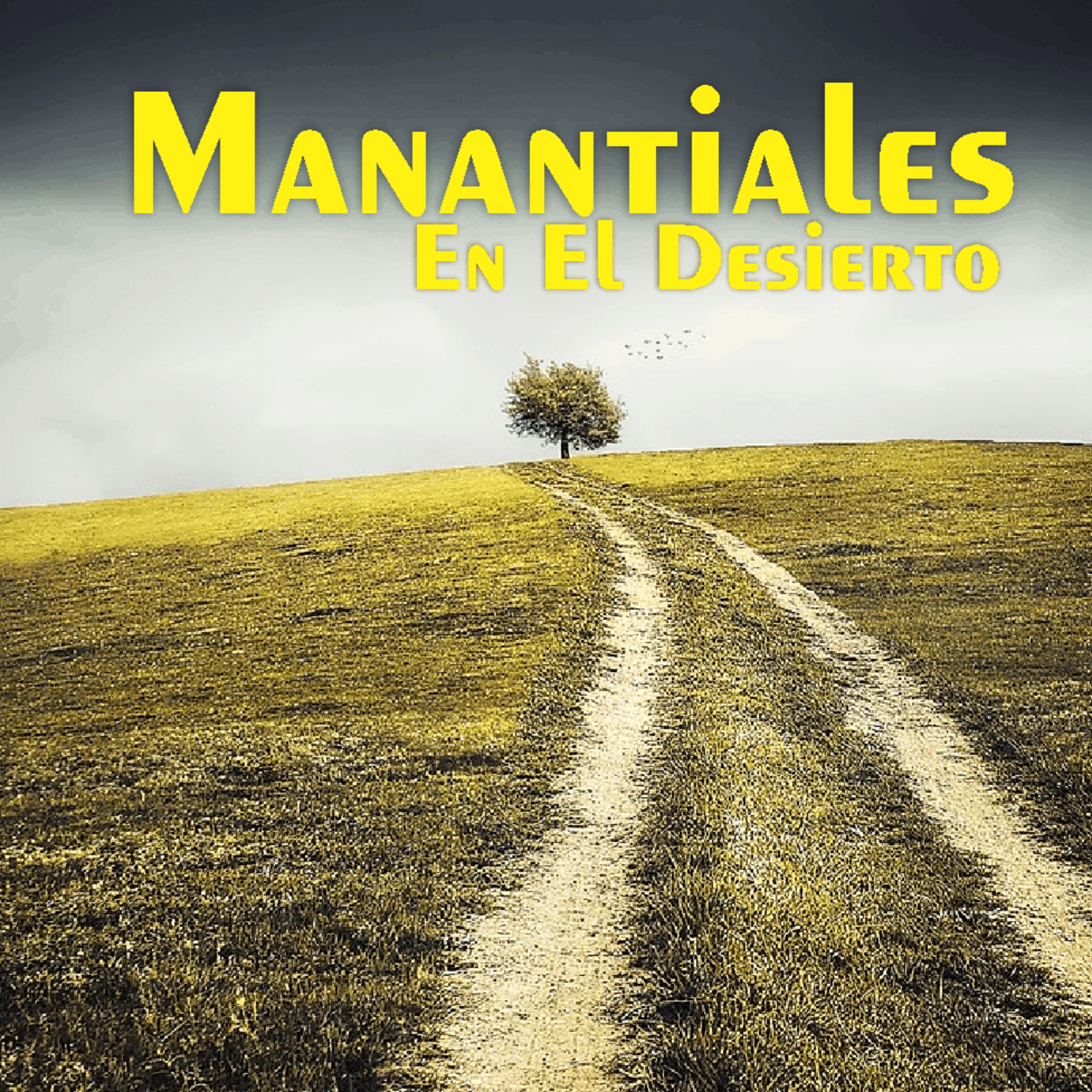Manantiales en el Desierto - 26 de Junio episode artwork