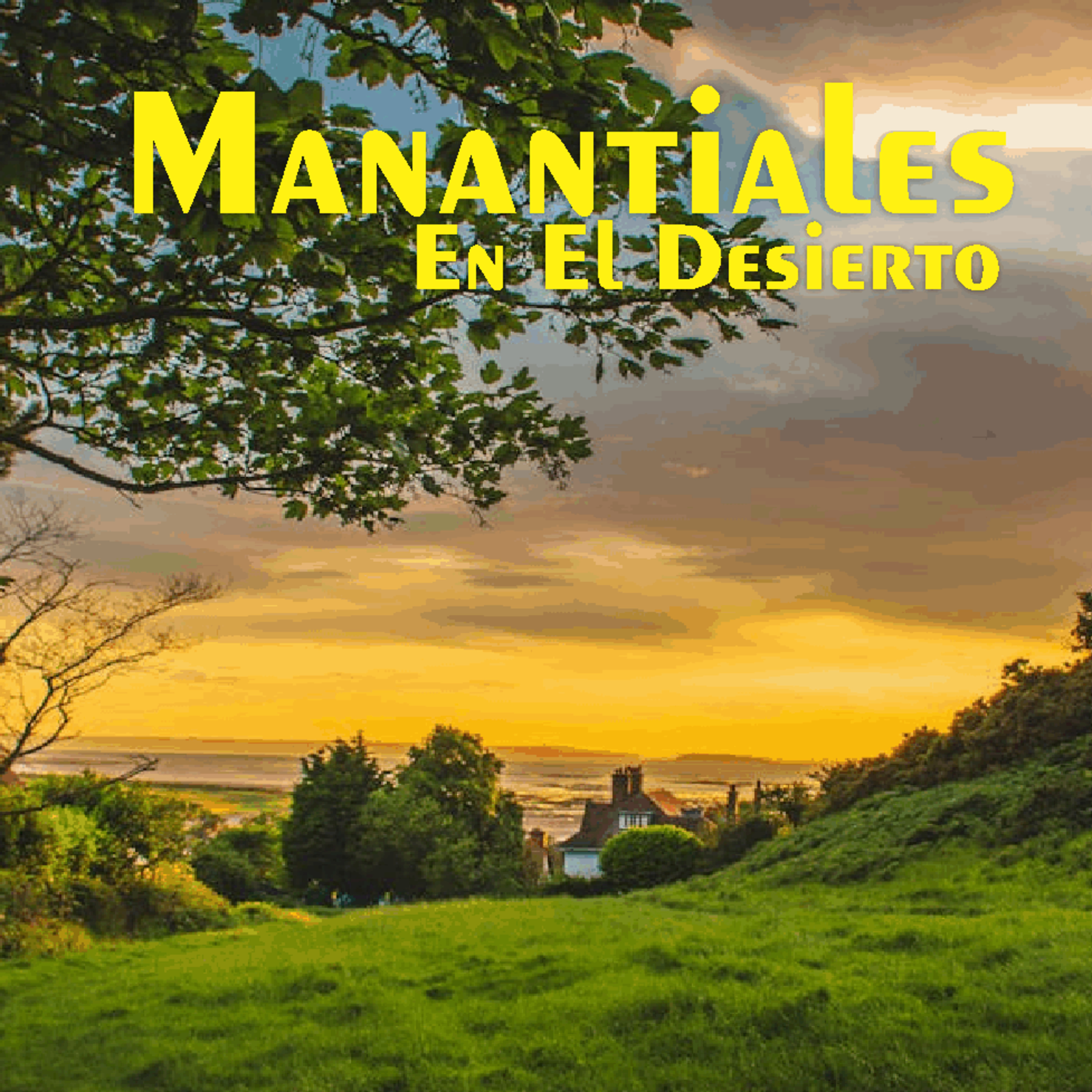 Manantiales en el Desierto - 8 de Julio episode artwork