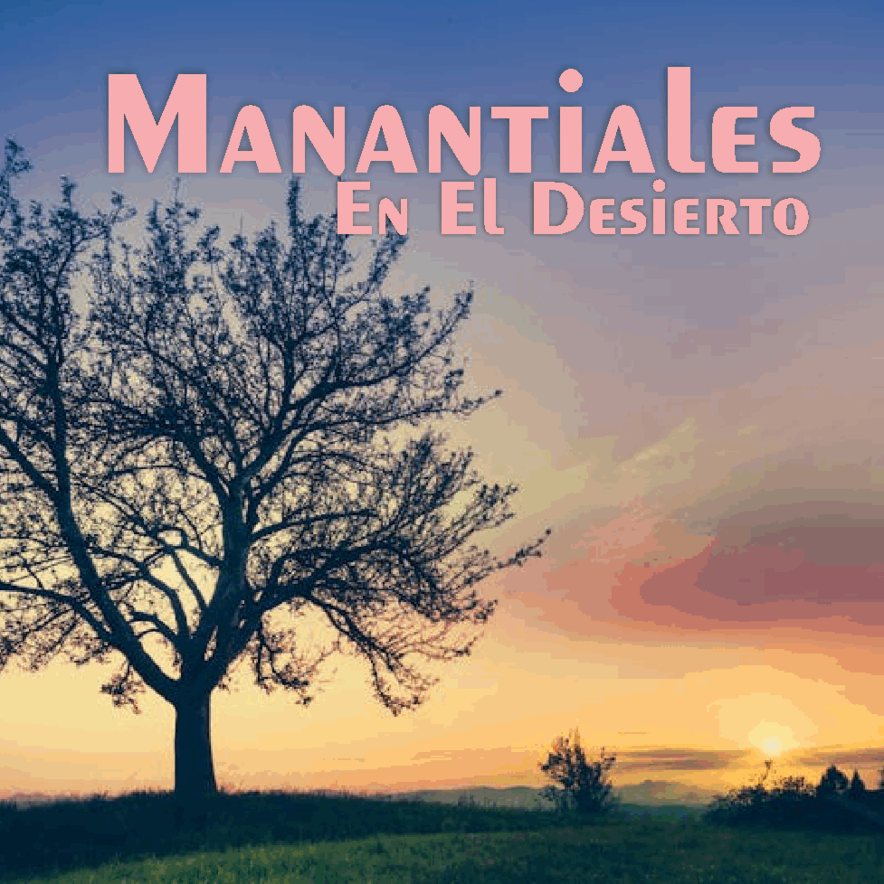 Manantiales en el Desierto - 15 de Julio episode artwork
