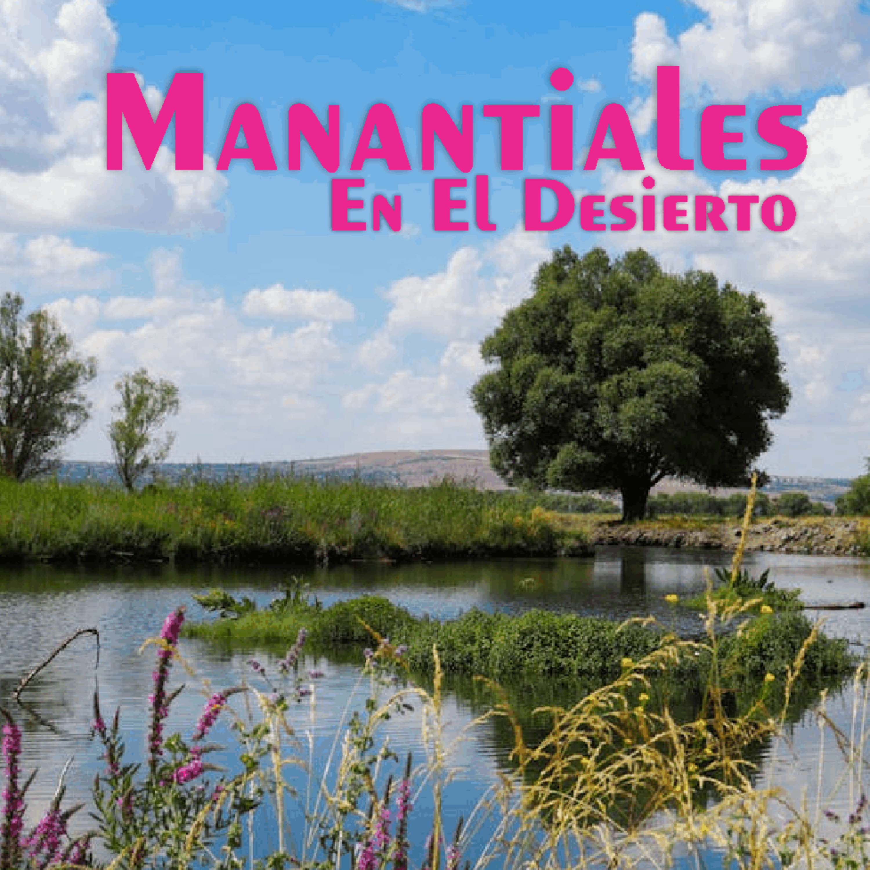 Manantiales en el Desierto - 18 de Julio episode artwork