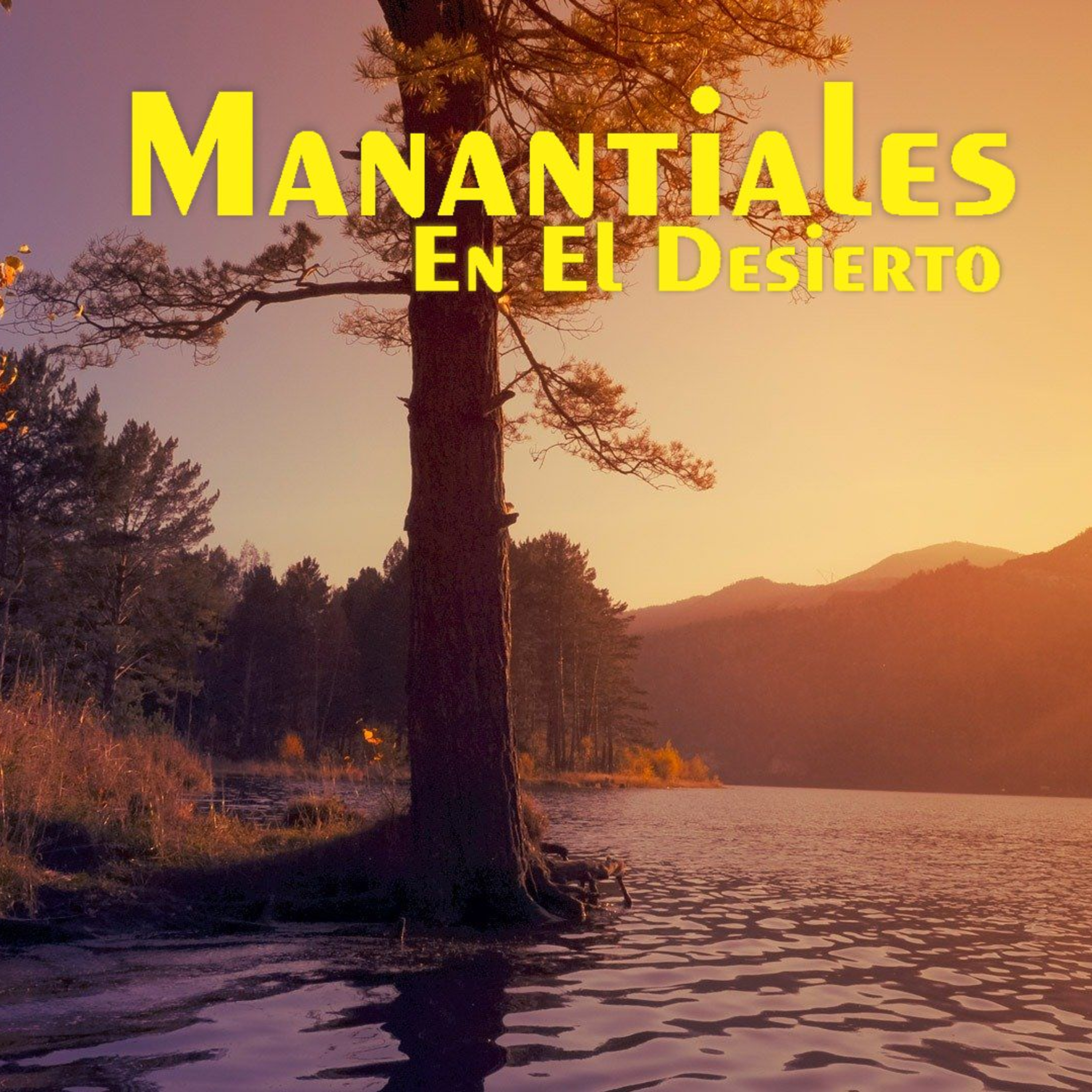 Manantiales en el Desierto - 1 de Agosto episode artwork