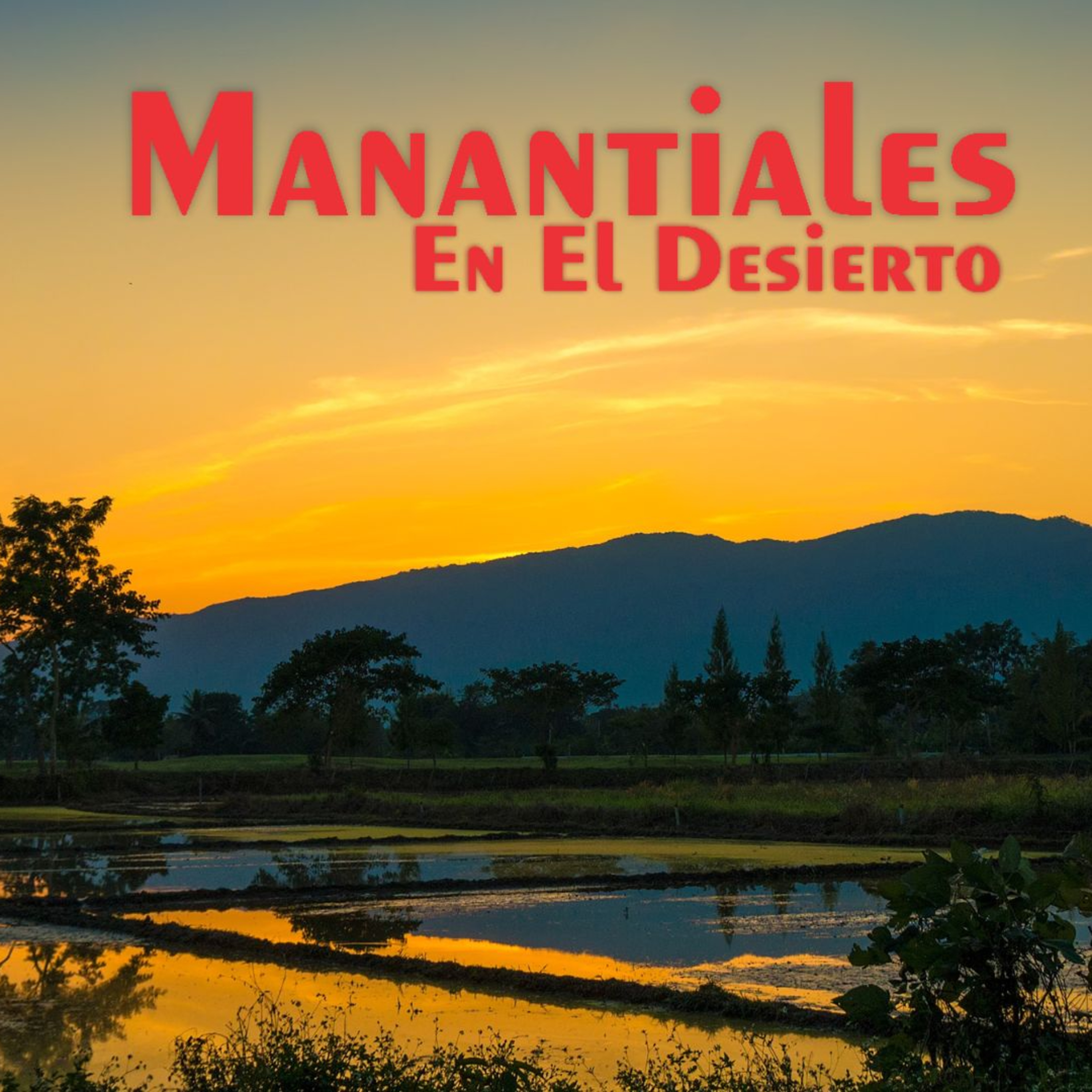 Manantiales en el Desierto - 11 de Agosto episode artwork