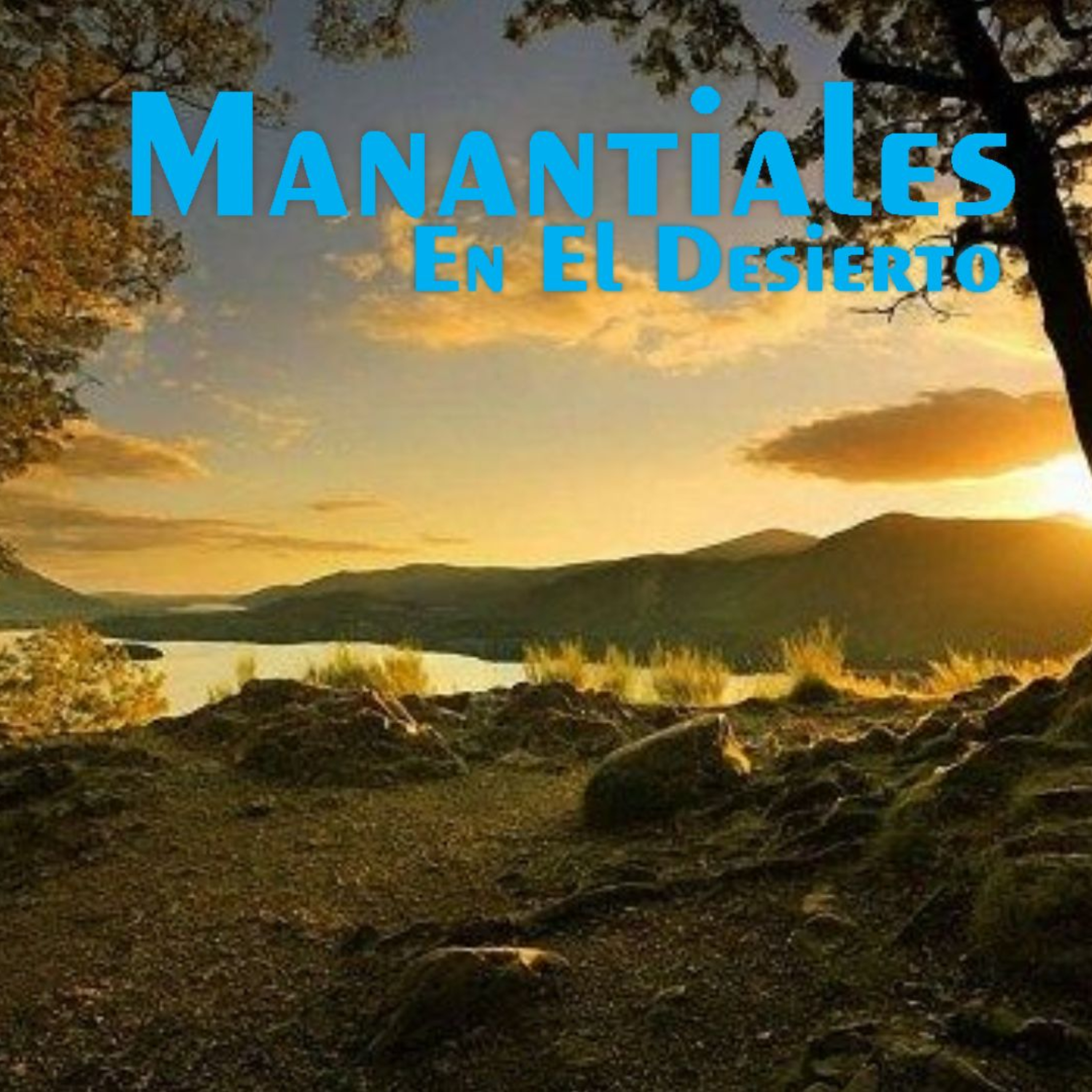 Manantiales en el Desierto - 12 de Agosto episode artwork