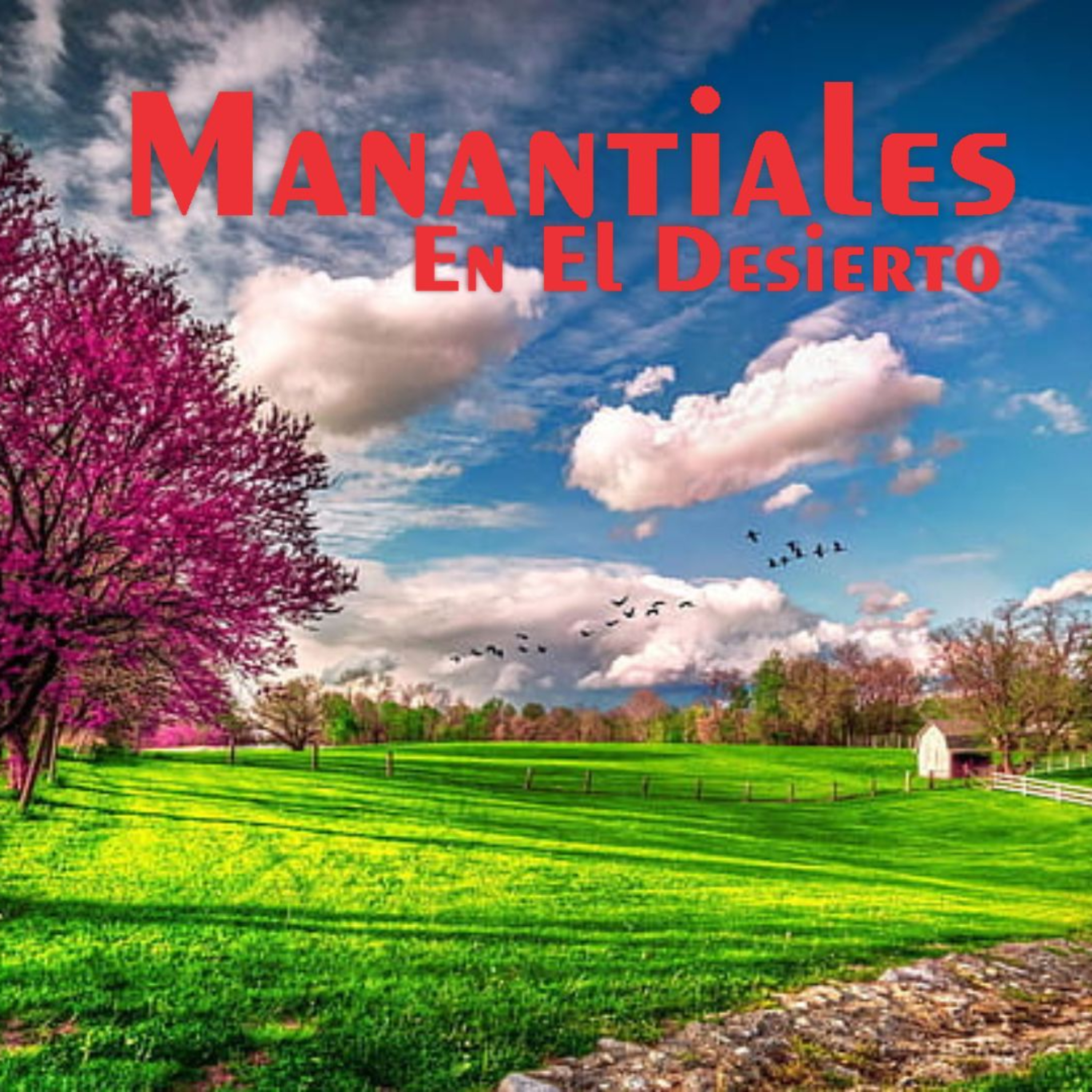 Manantiales en el Desierto - 28 de Agosto episode artwork
