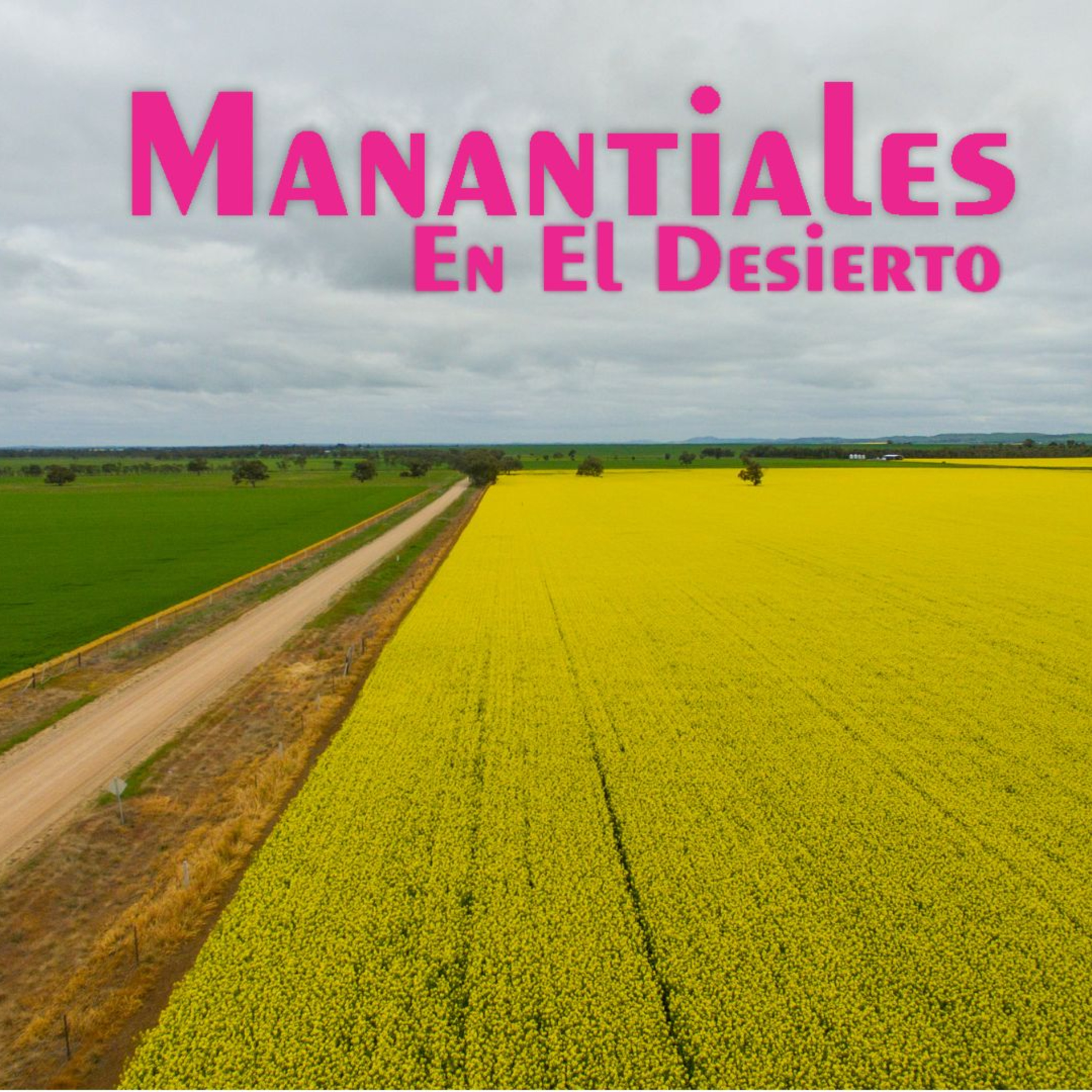 Manantiales en el Desierto - 1 de Septiembre episode artwork
