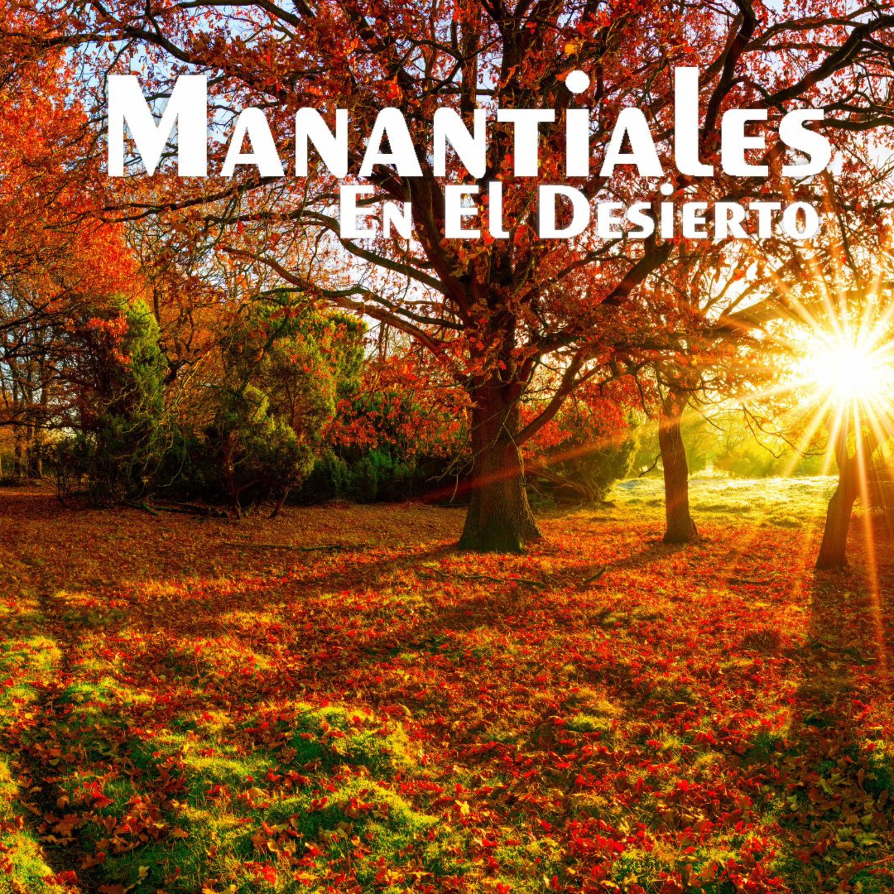 Manantiales en el Desierto - 6 de Octubre episode artwork