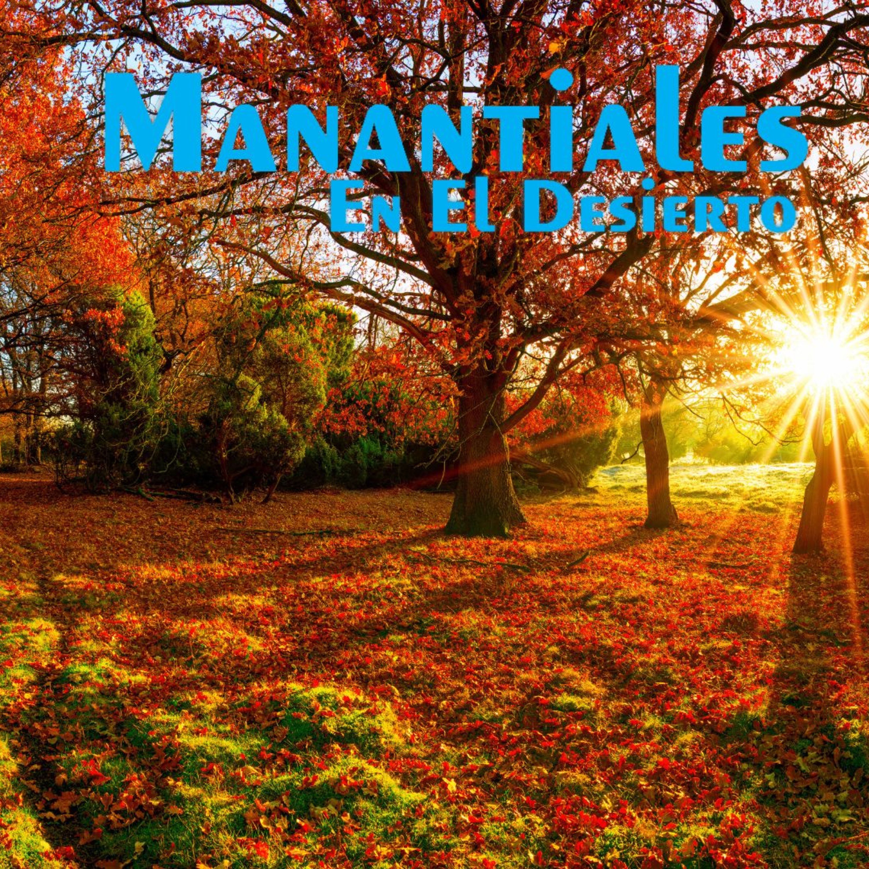 Manantiales en el Desierto - 8 de Octubre episode artwork