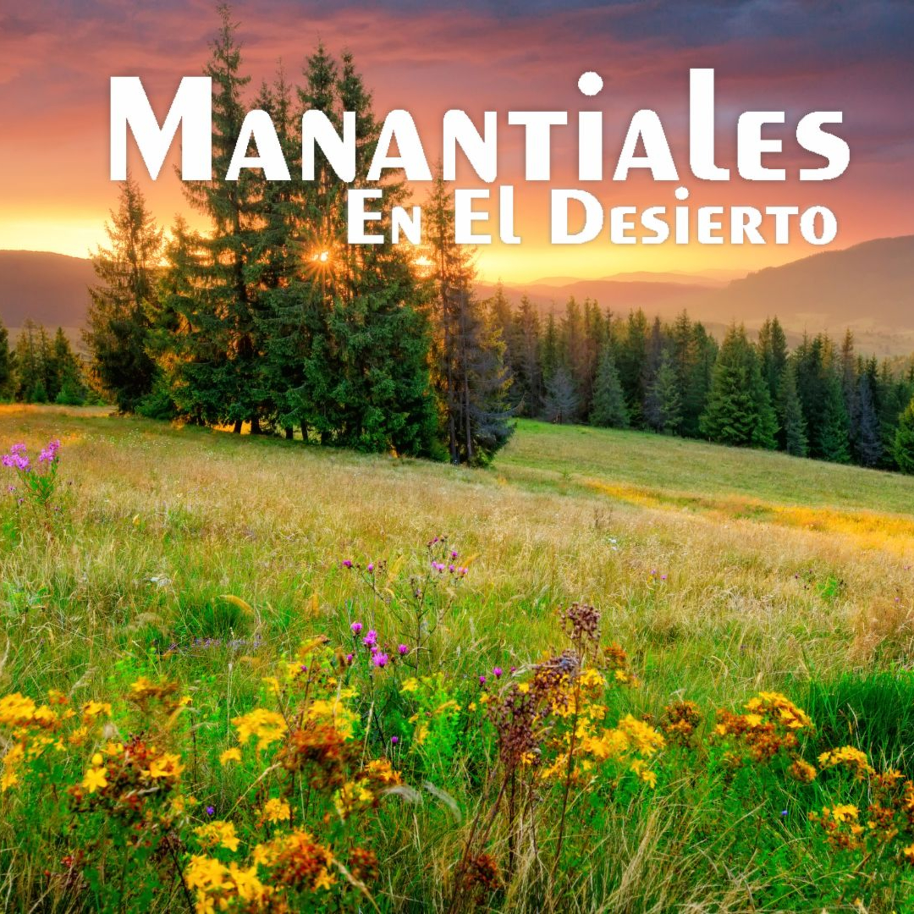 Manantiales en el Desierto - 16 de Octubre episode artwork