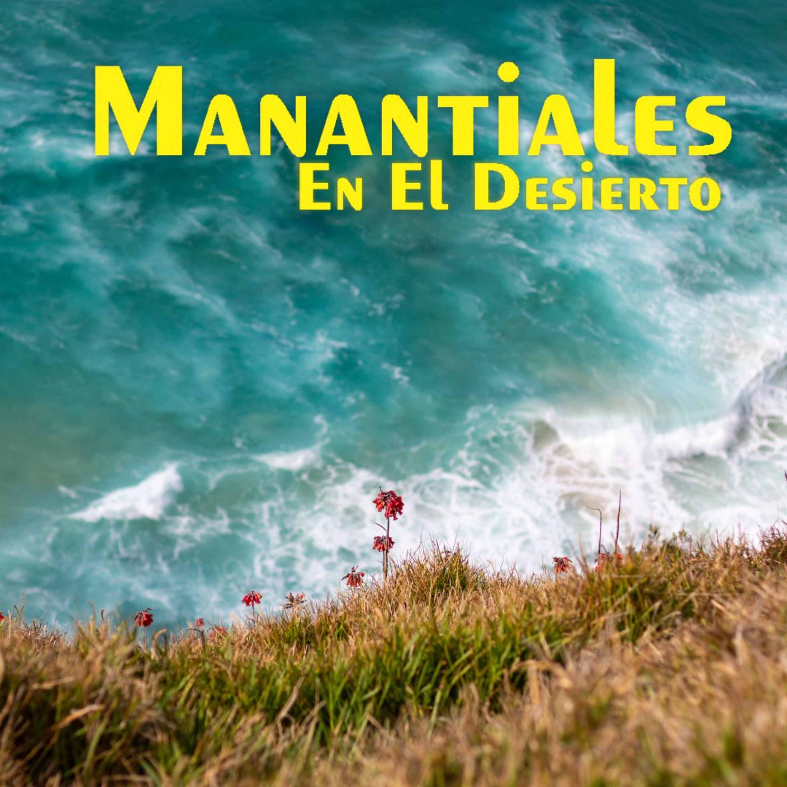 Manantiales en el Desierto - 1 de Noviembre episode artwork