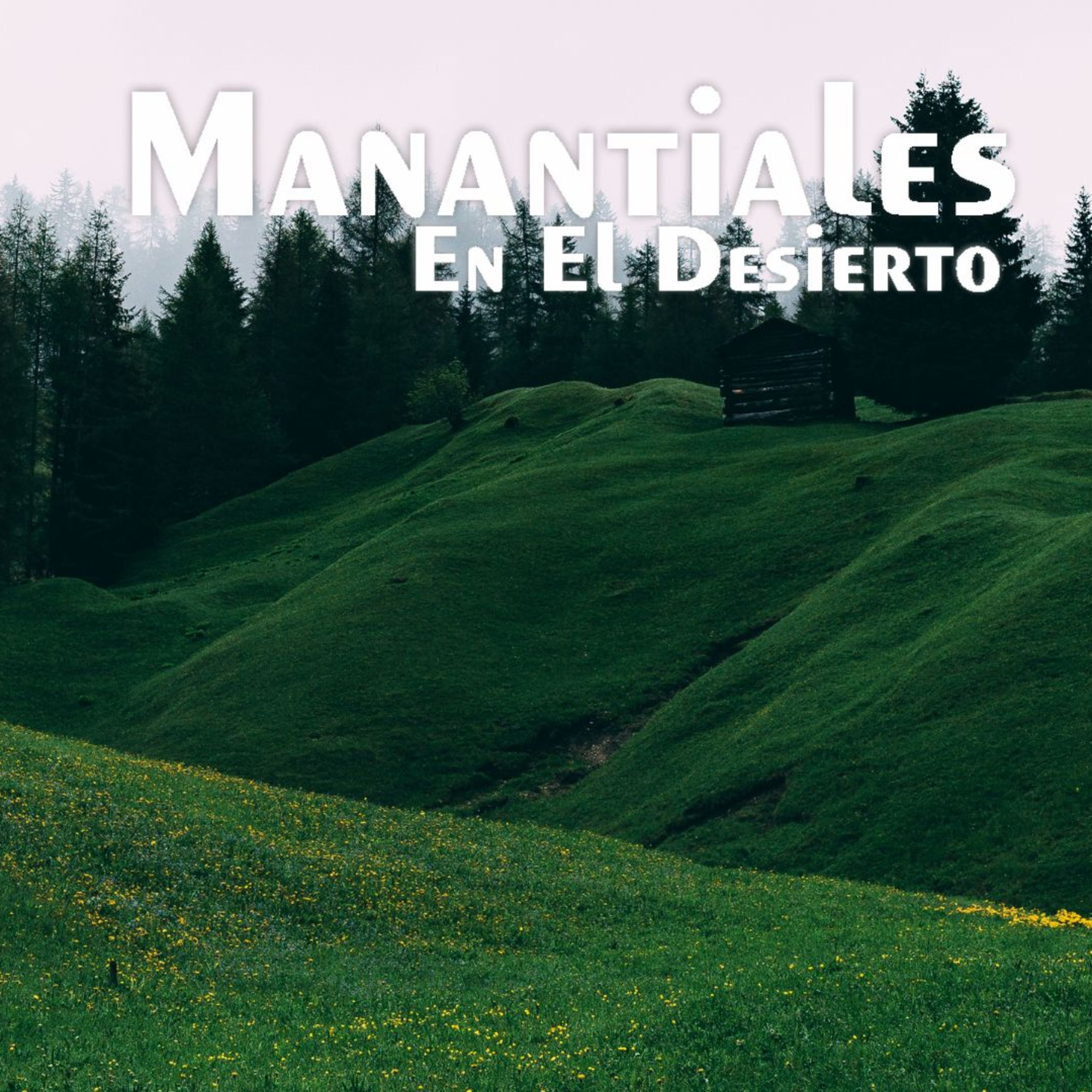 Manantiales en el Desierto - 3 de Noviembre episode artwork