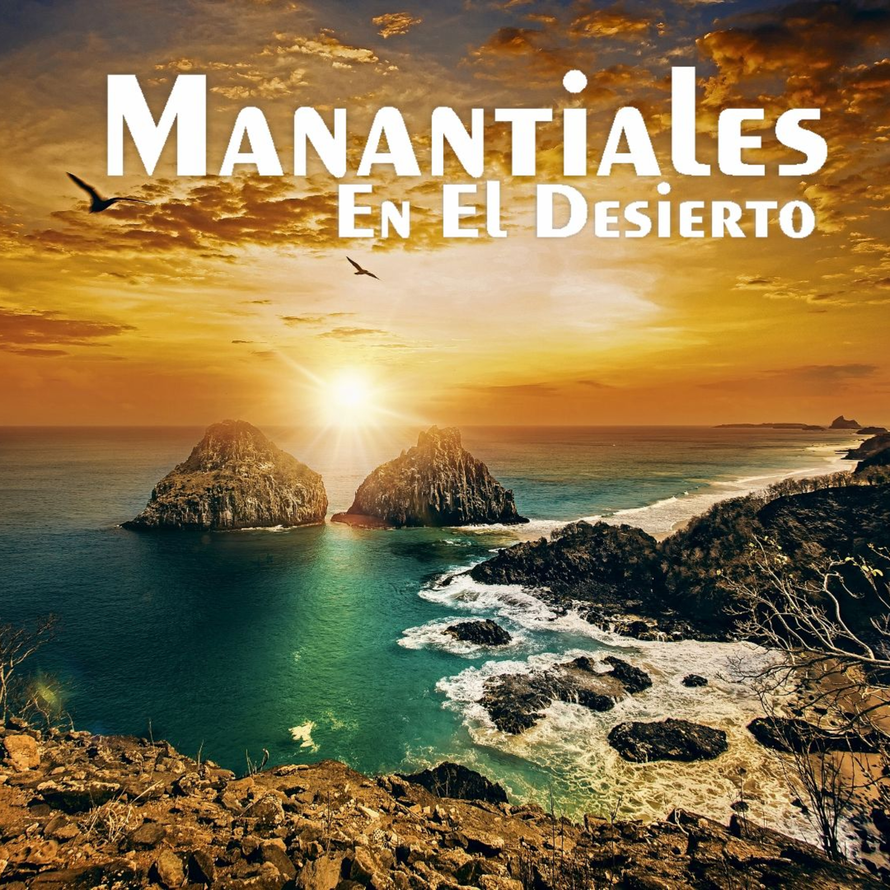 Manantiales en el Desierto - 13 de Noviembre episode artwork