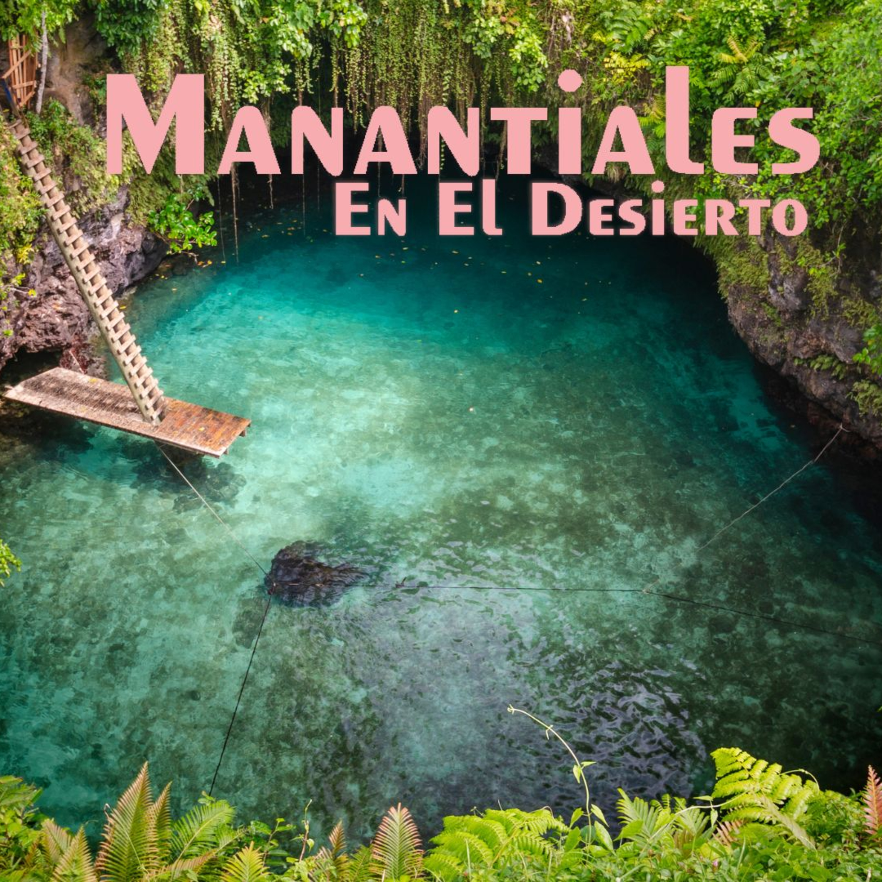 Manantiales en el Desierto - 23 de Noviembre episode artwork