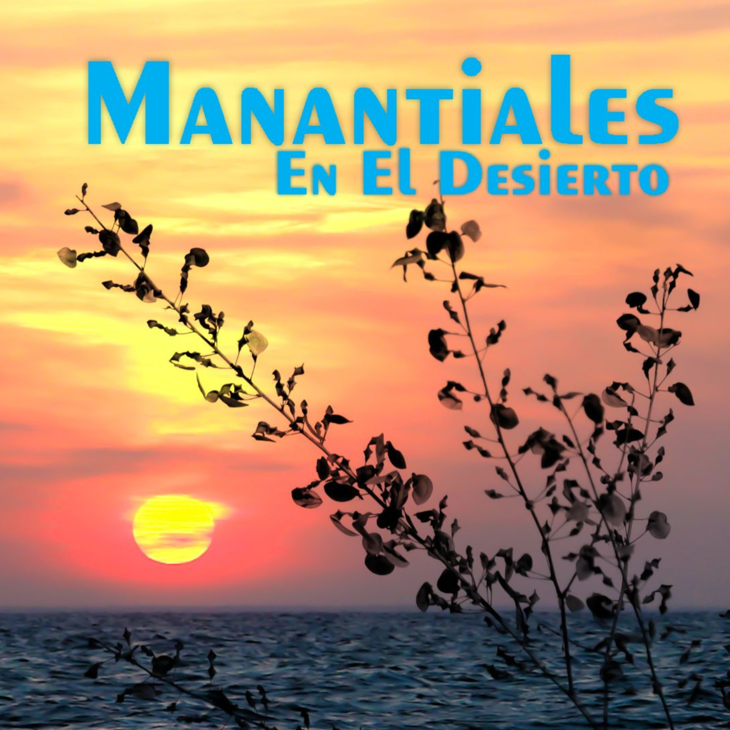 Manantiales en el Desierto - 1 de Diciembre episode artwork