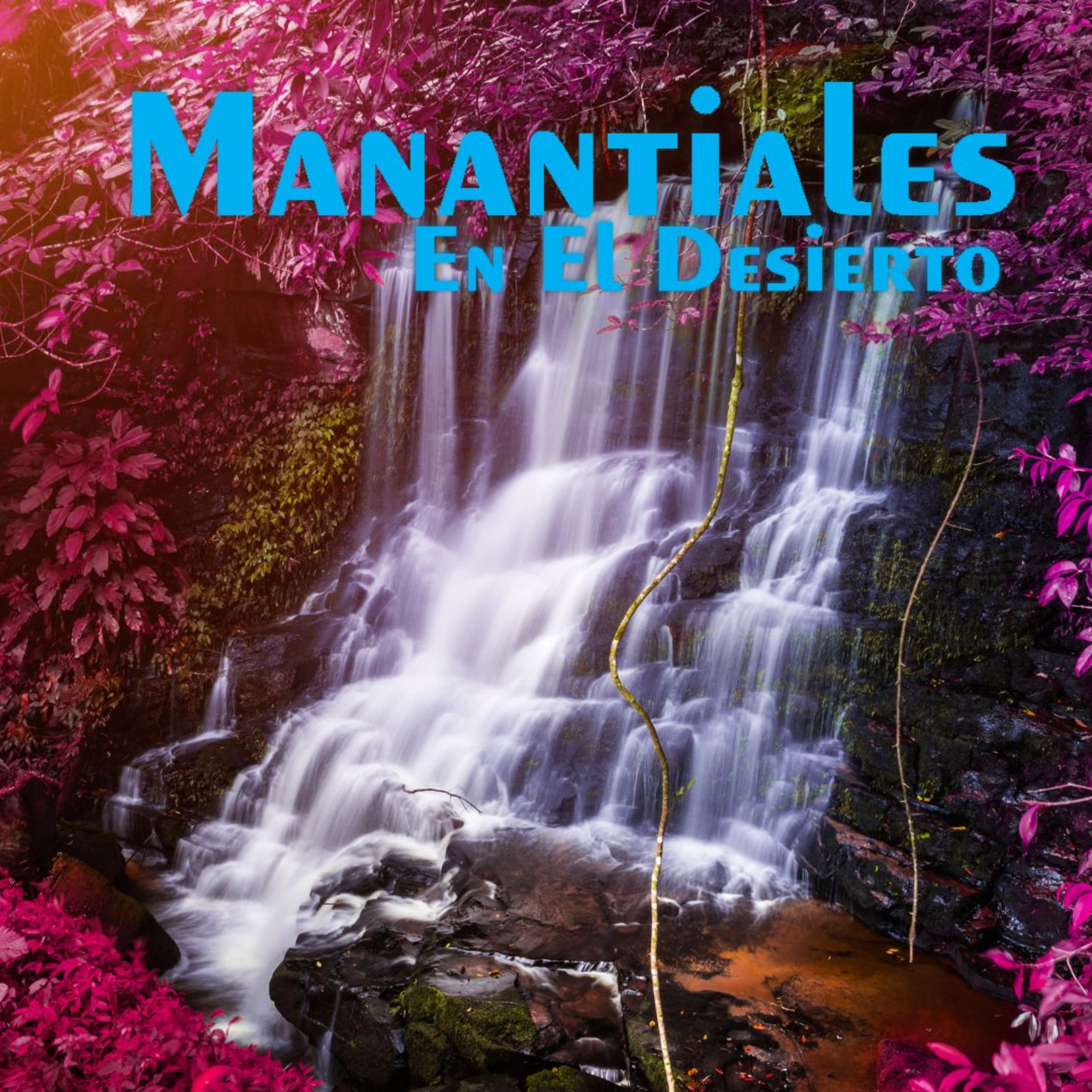 Manantiales en el Desierto - 13 de Diciembre episode artwork