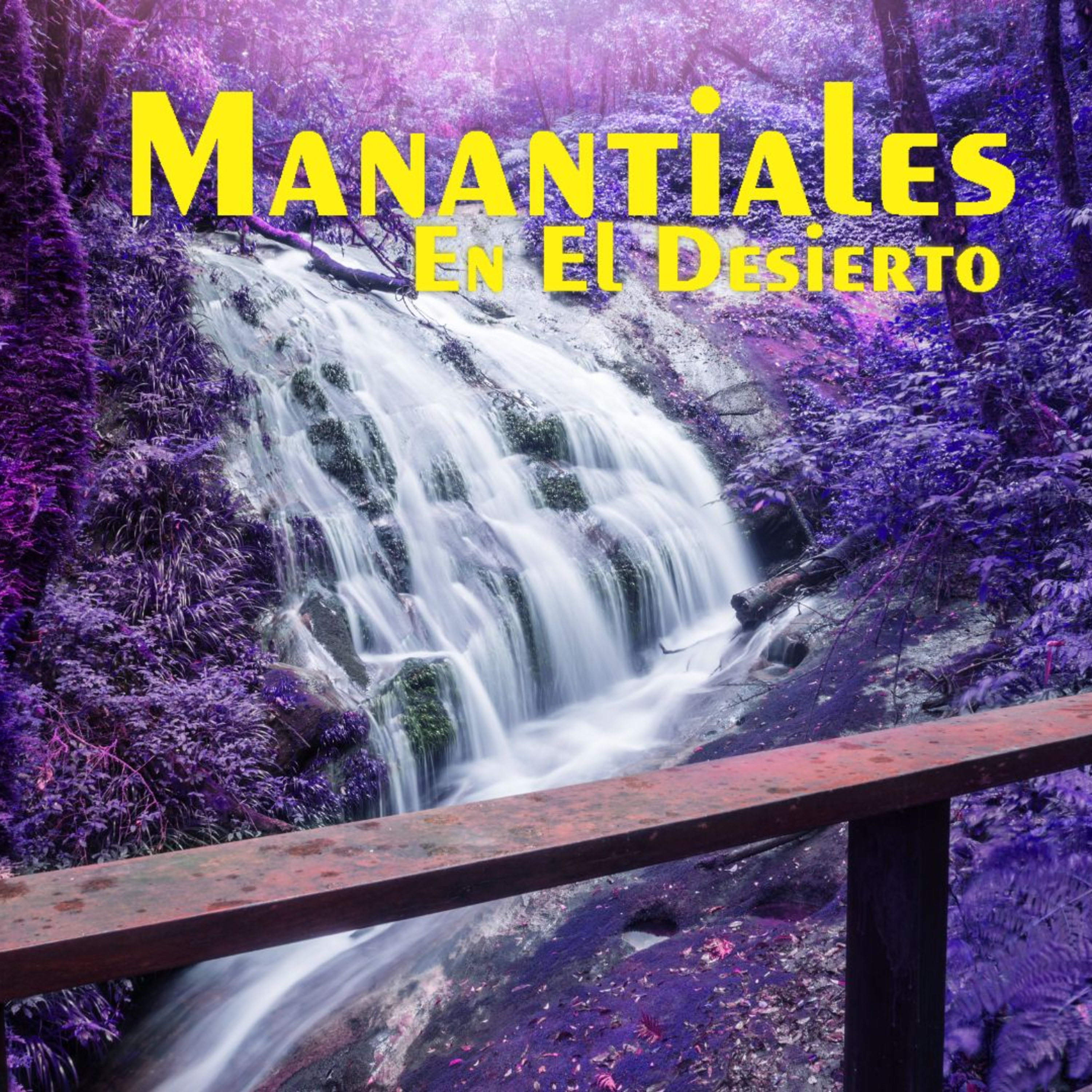 Manantiales en el Desierto - 19 de Diciembre episode artwork