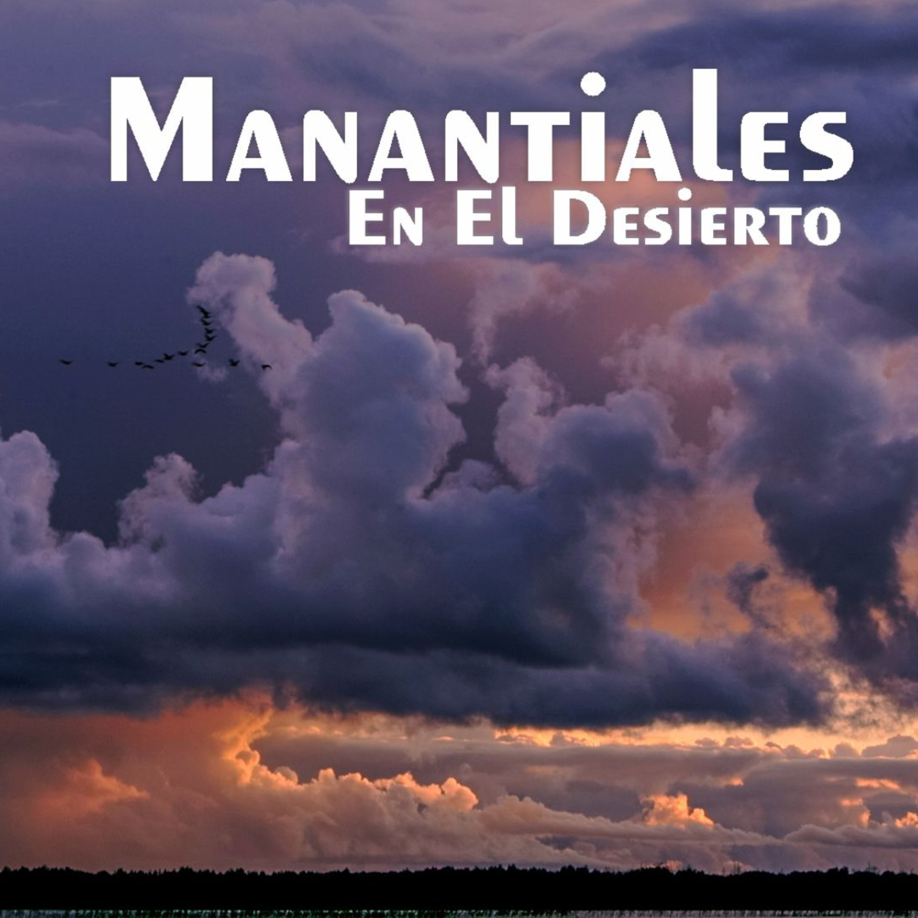Manantiales en el Desierto - 26 de Diciembre episode artwork