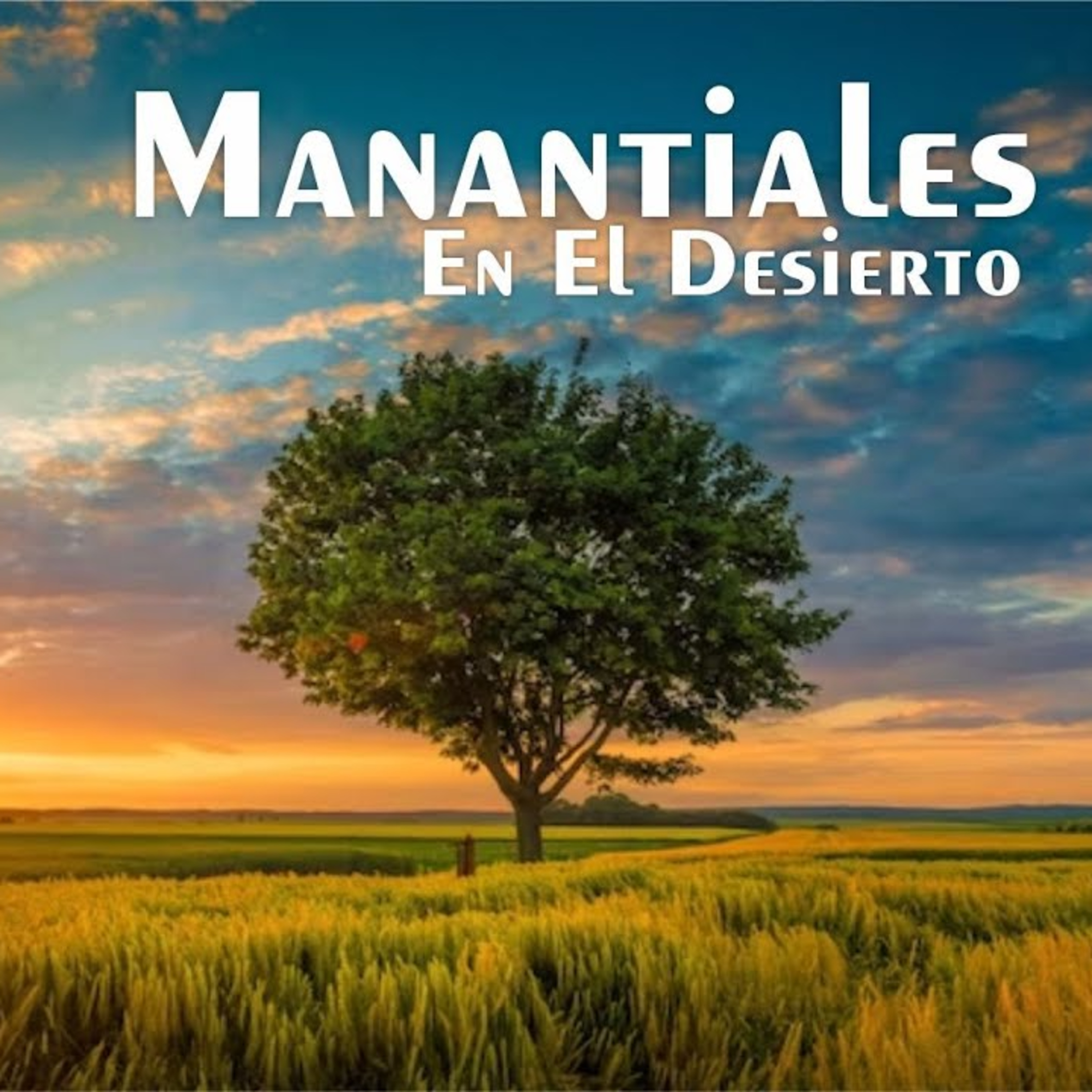 Manantiales en el Desierto - 30 de Diciembre episode artwork