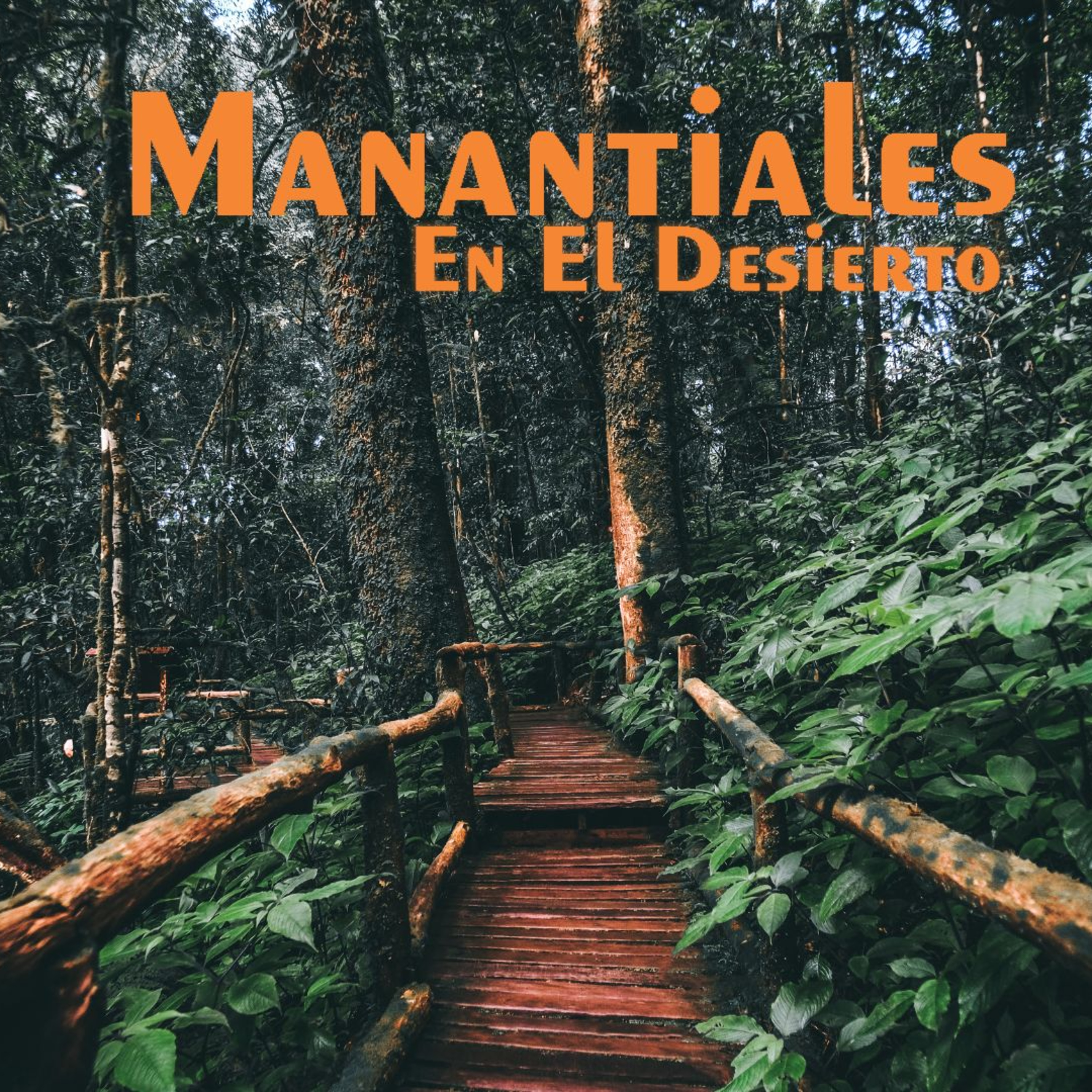 Manantiales en el Desierto - 31 de Diciembre episode artwork
