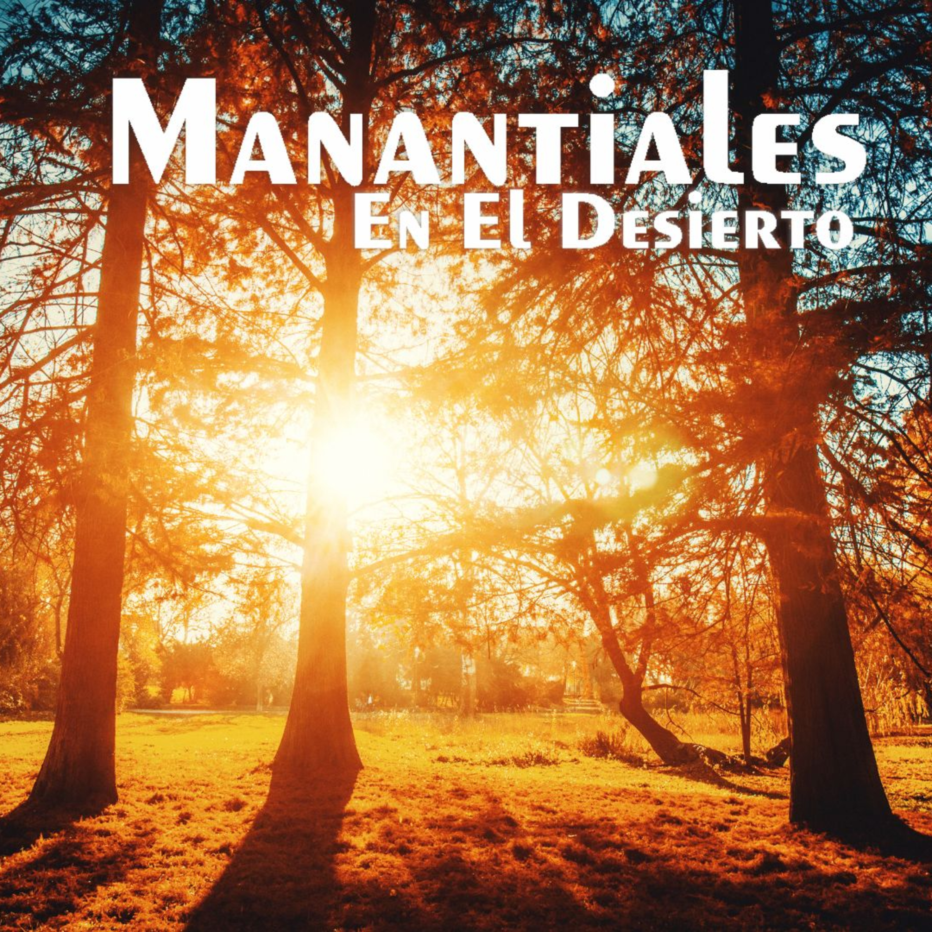 Manantiales en el Desierto - 1 de Enero episode artwork