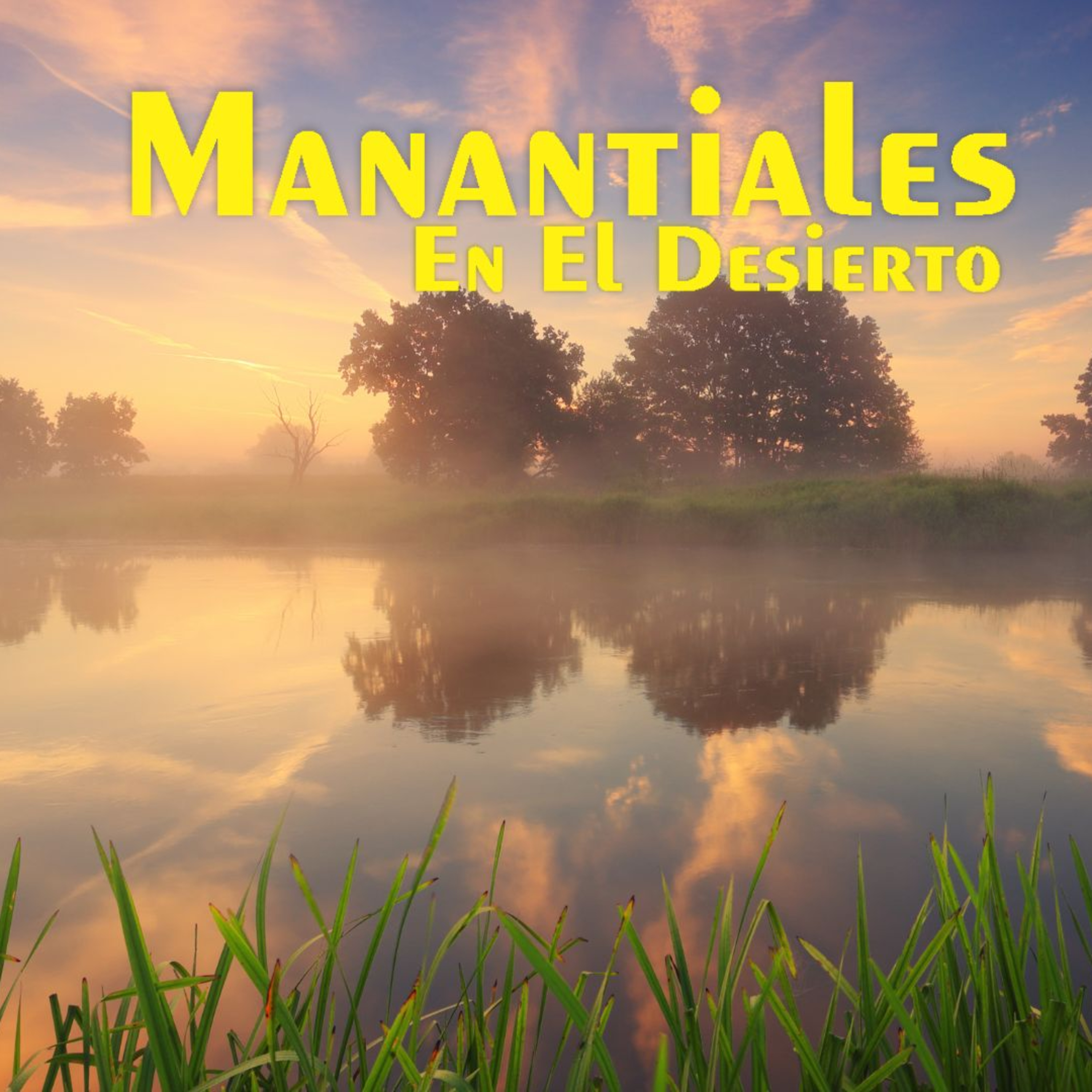 Manantiales en el Desierto - 2 de Enero episode artwork