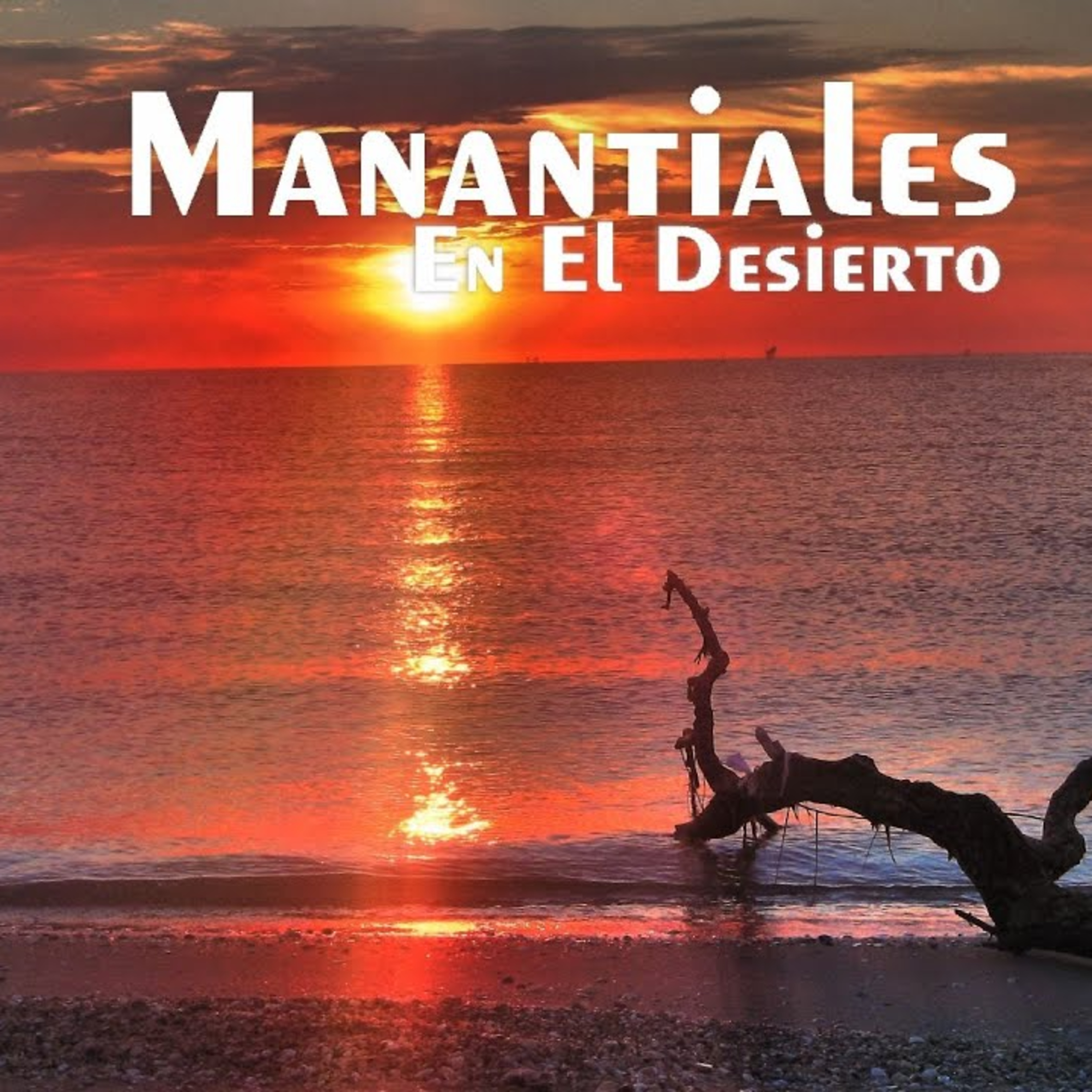 Manantiales en el Desierto - 4 de Enero episode artwork