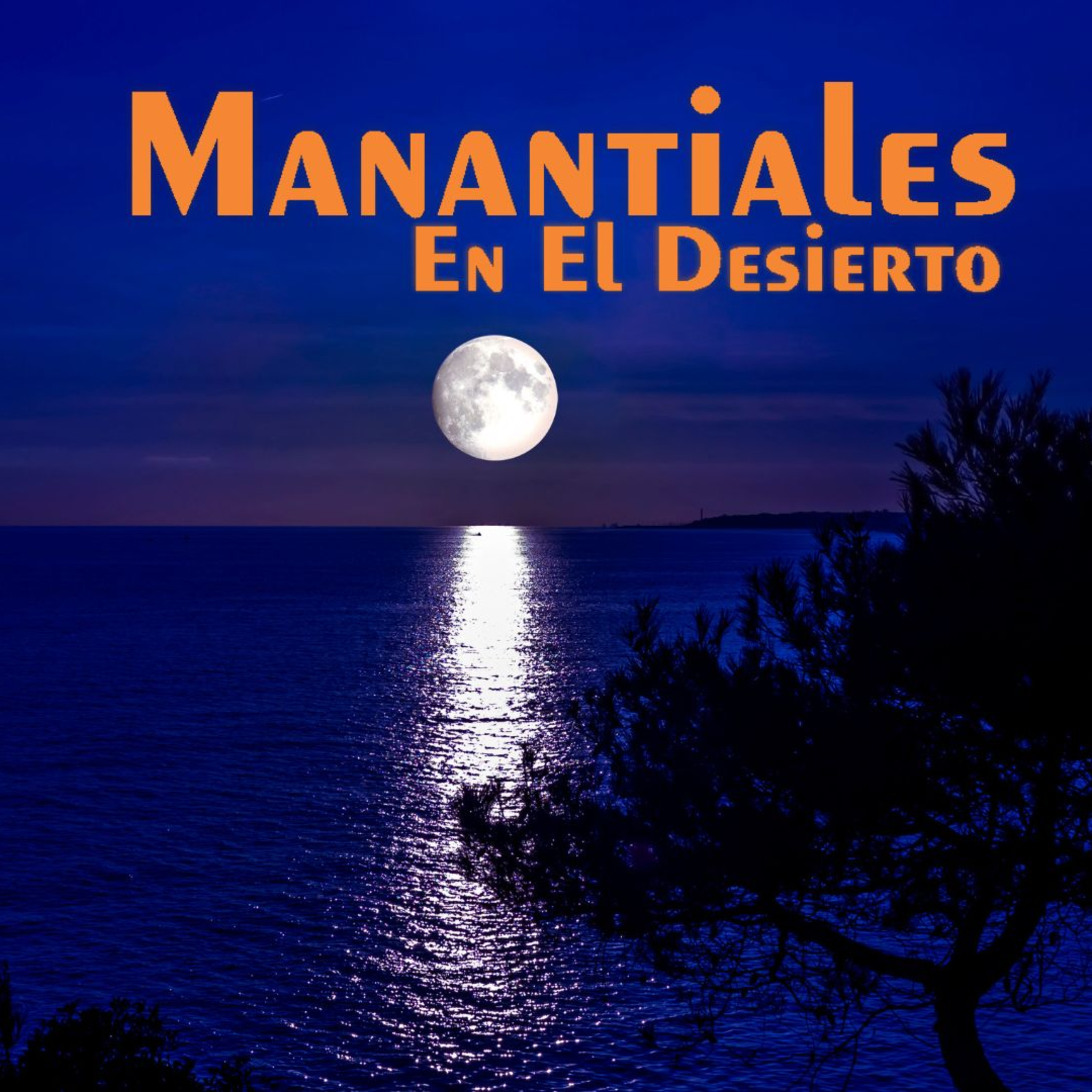 Manantiales en el Desierto - 12 de Enero episode artwork