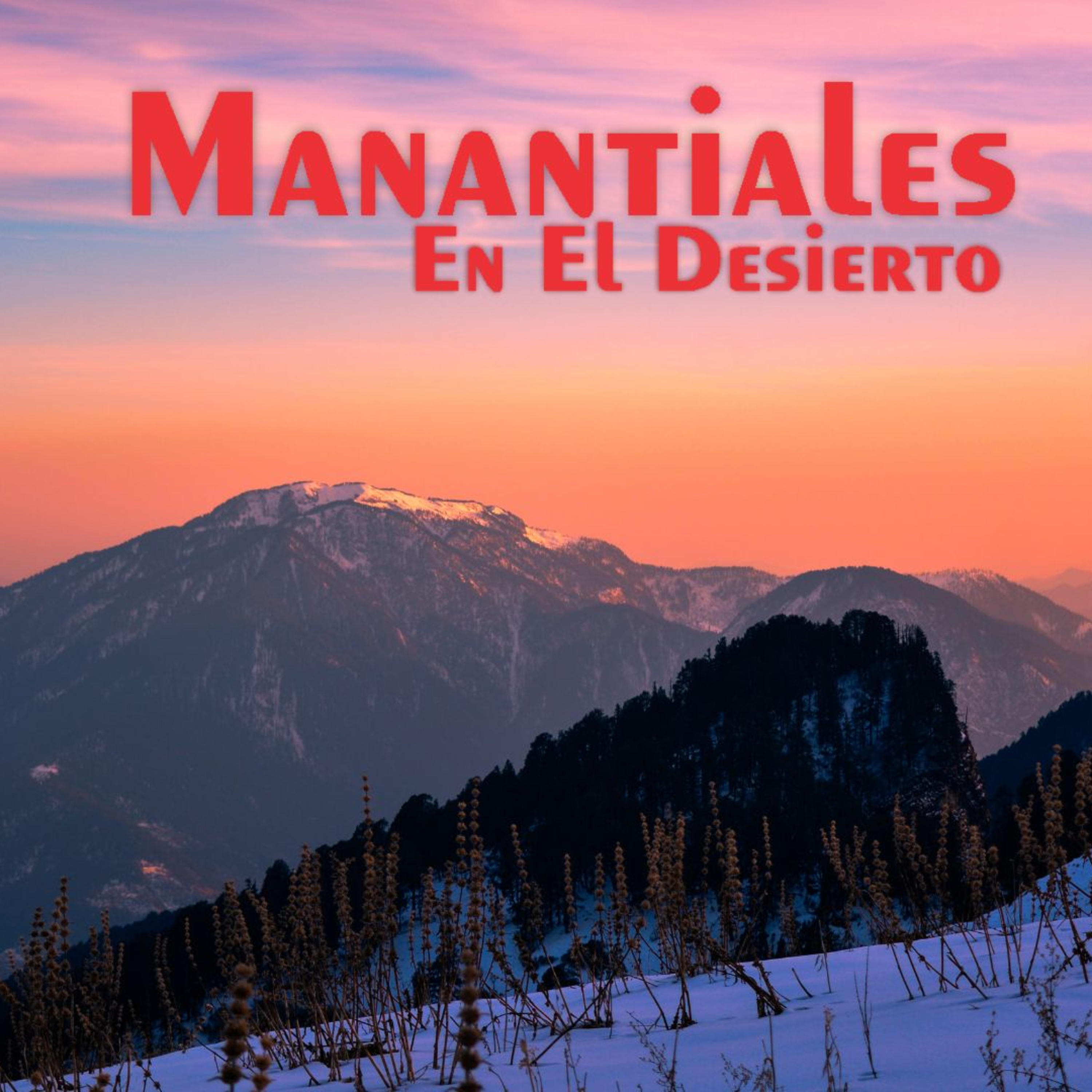 Manantiales en el Desierto - 20 de Enero episode artwork