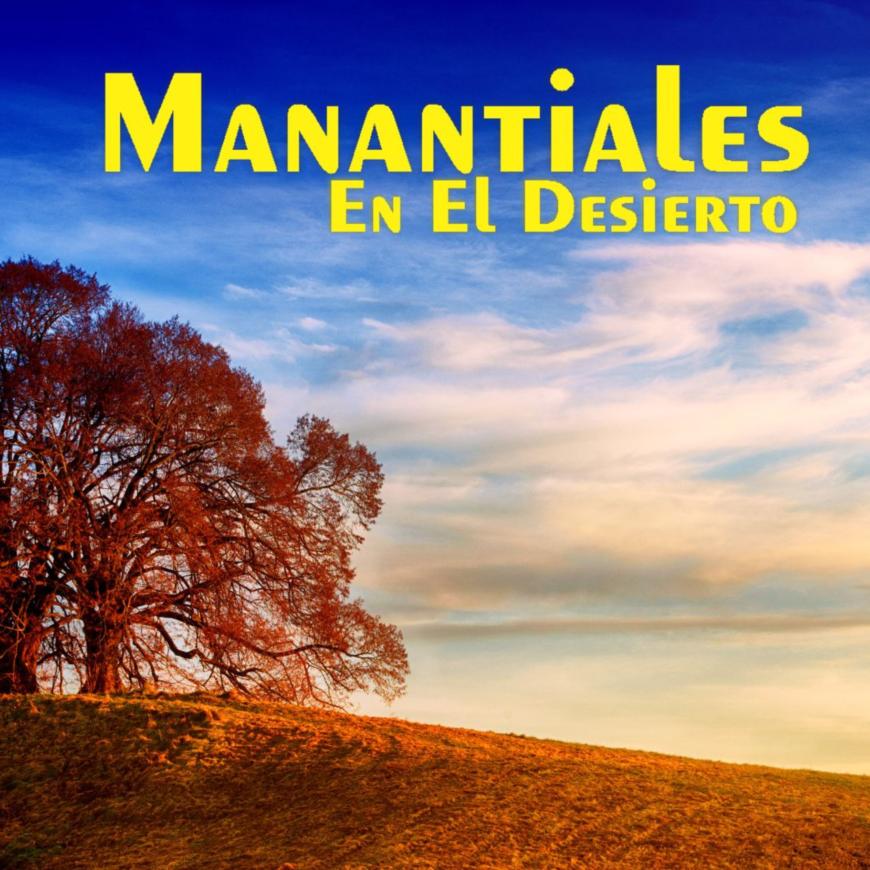 Manantiales en el Desierto - 21 de Enero episode artwork