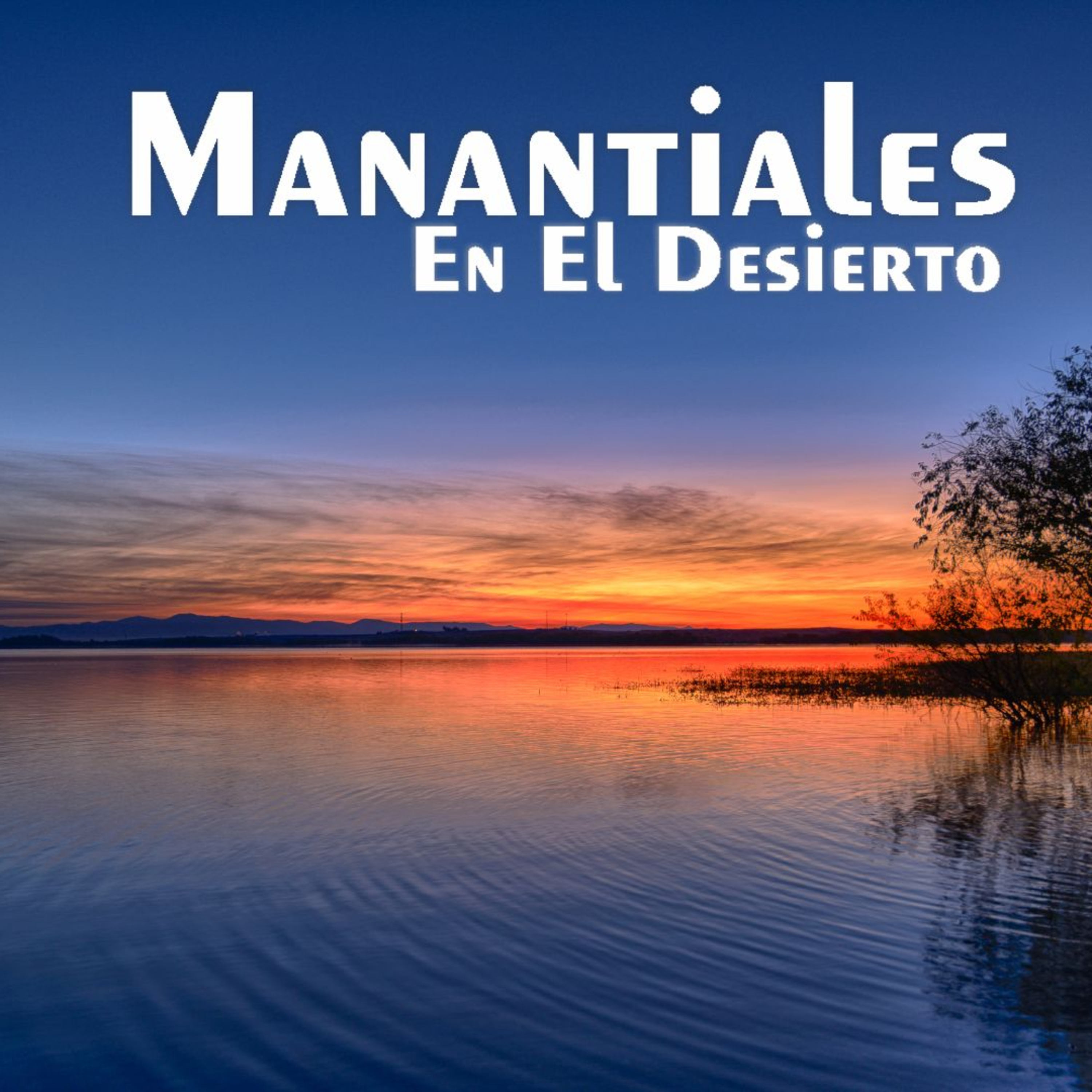 Manantiales en el Desierto - 29 de Enero episode artwork