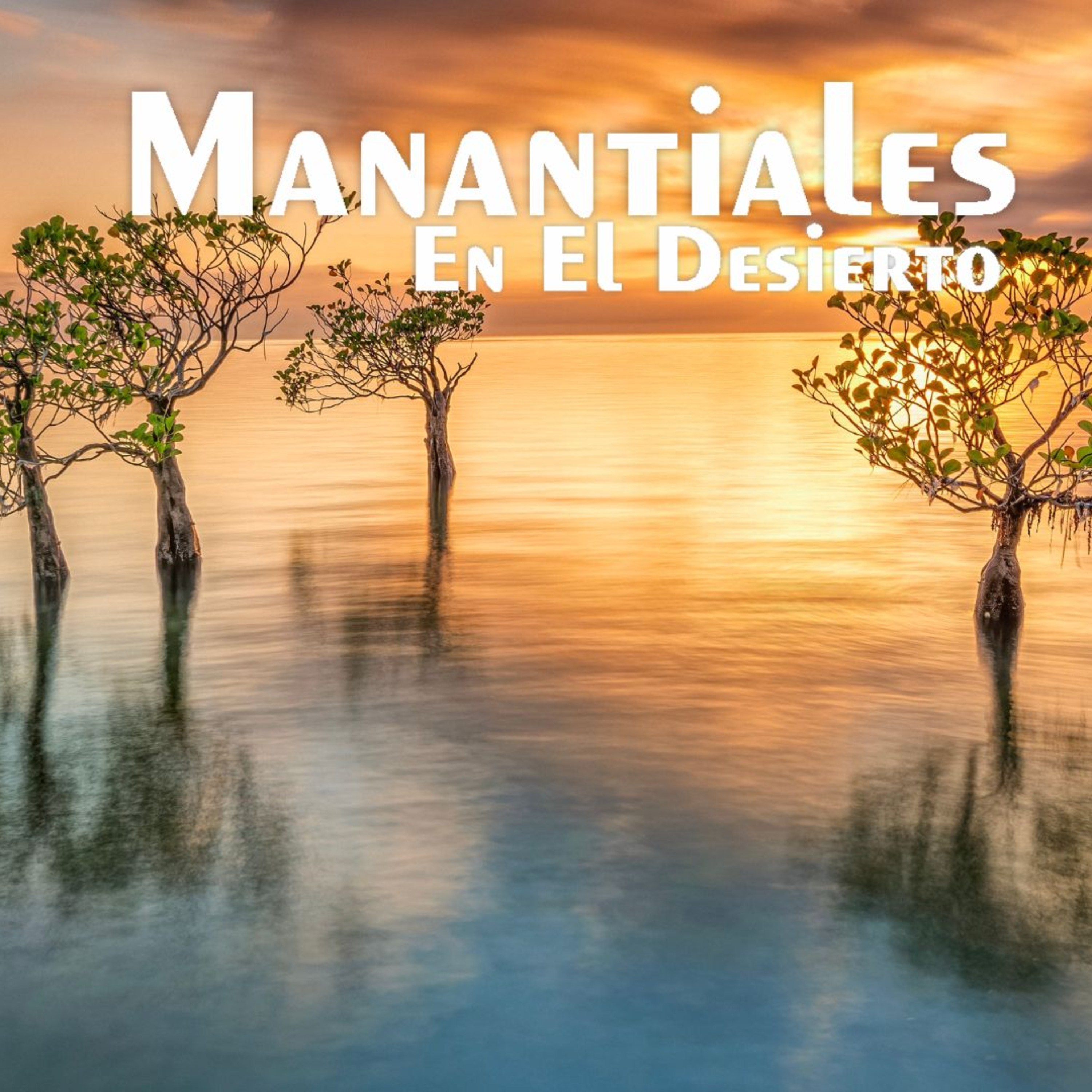 Manantiales en el Desierto - 2 de Marzo episode artwork
