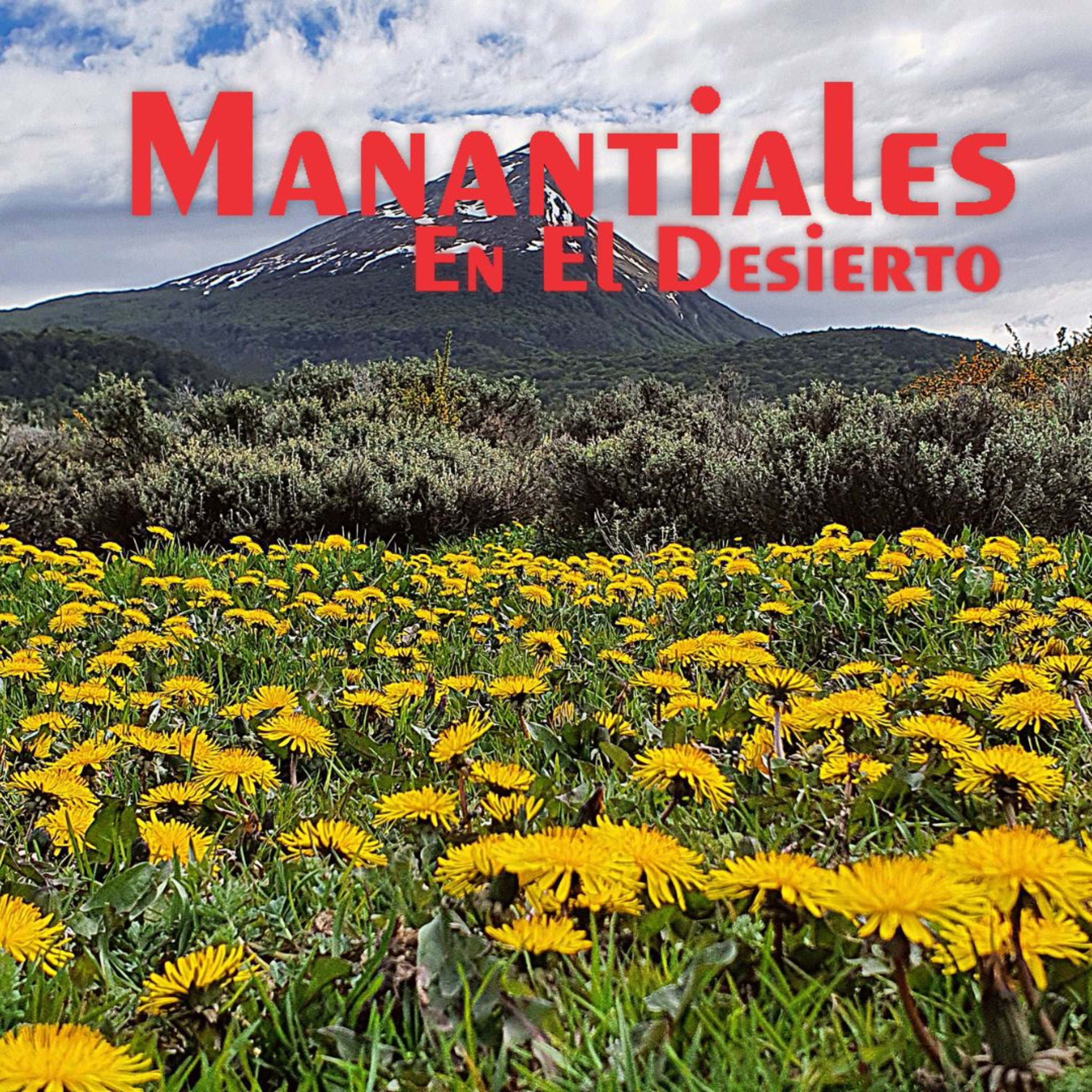 Manantiales en el Desierto - 11 de Marzo episode artwork