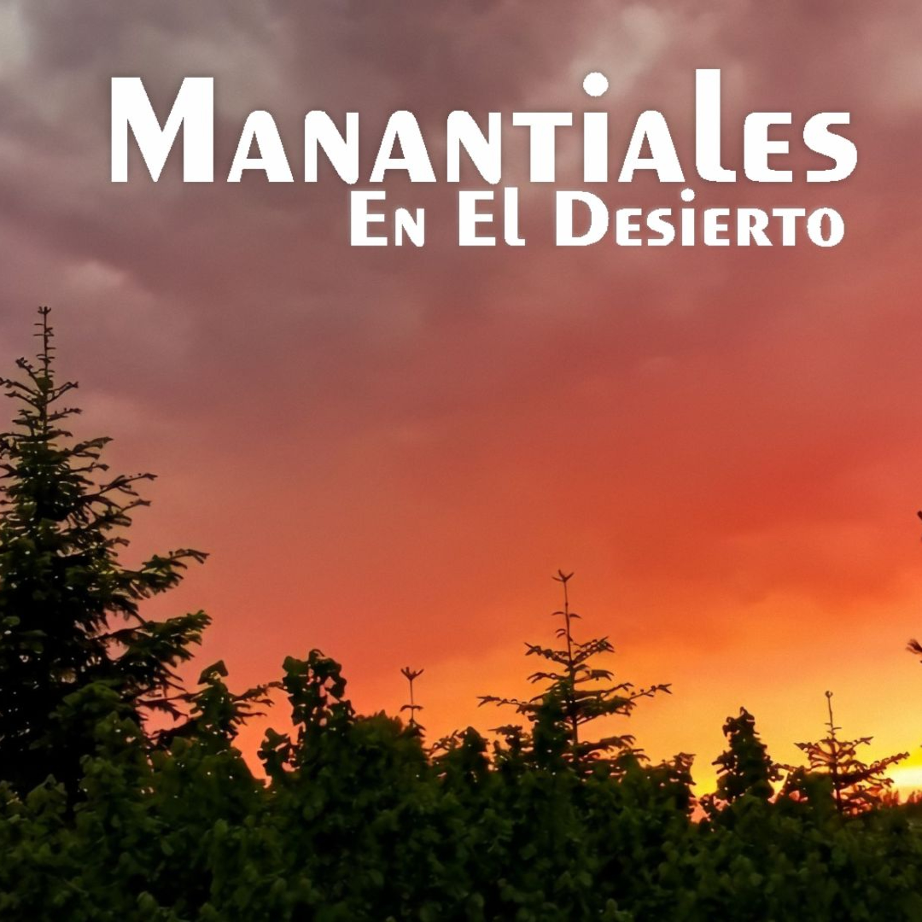 Manantiales en el Desierto - 25 de Marzo episode artwork