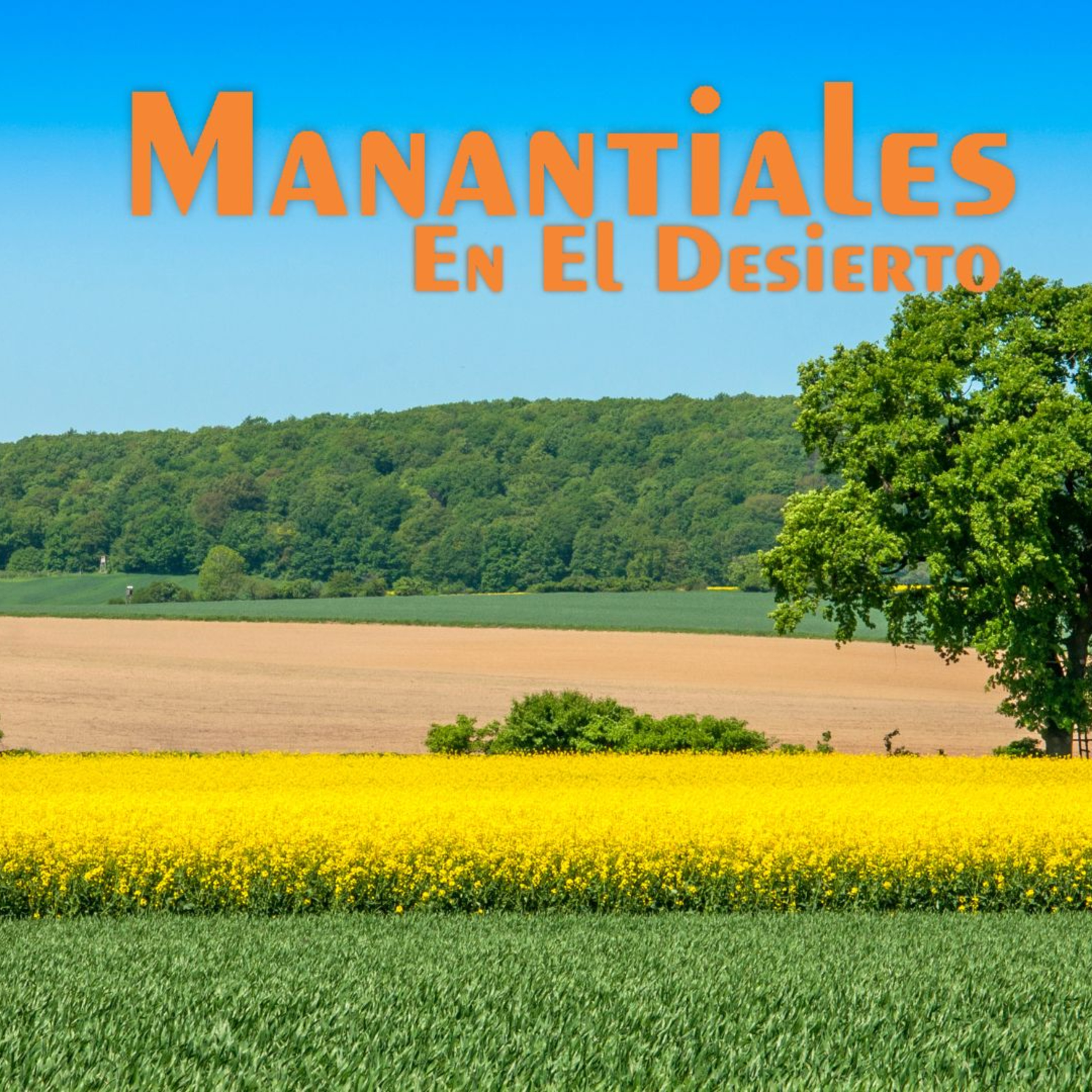 Manantiales en el Desierto - 31 de Marzo episode artwork