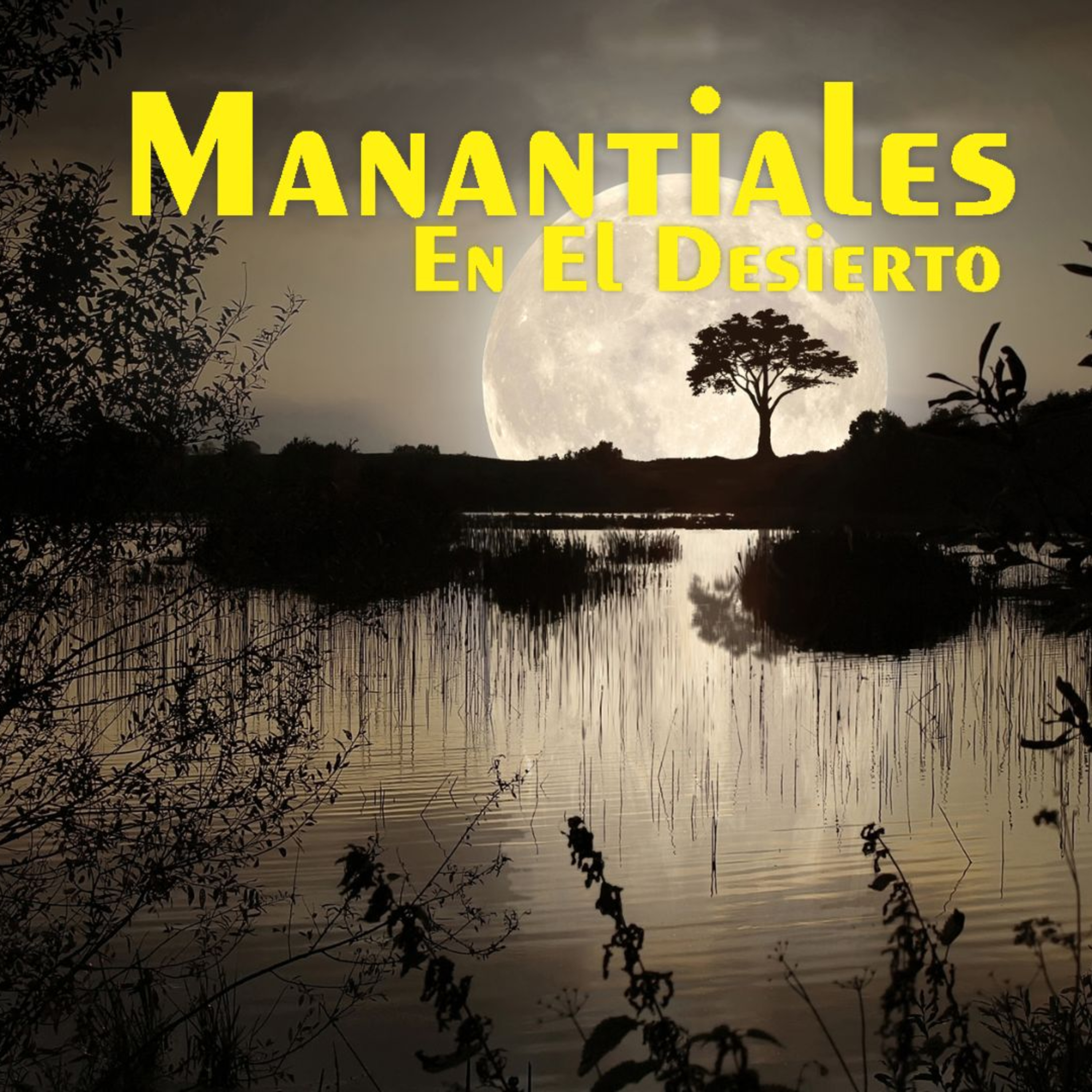 Manantiales en el Desierto - 5 de Abril episode artwork