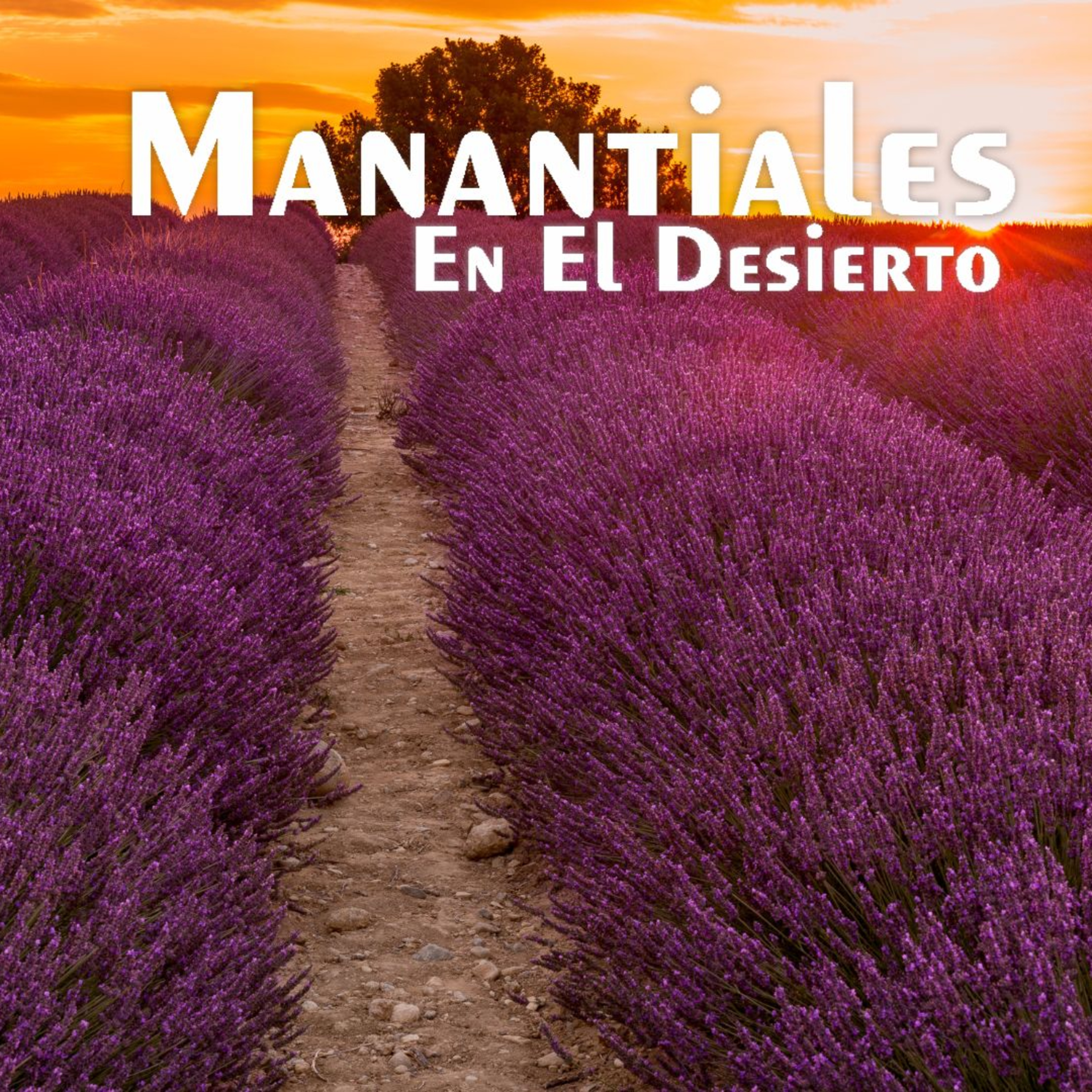 Manantiales en el Desierto - 8 de Abril episode artwork