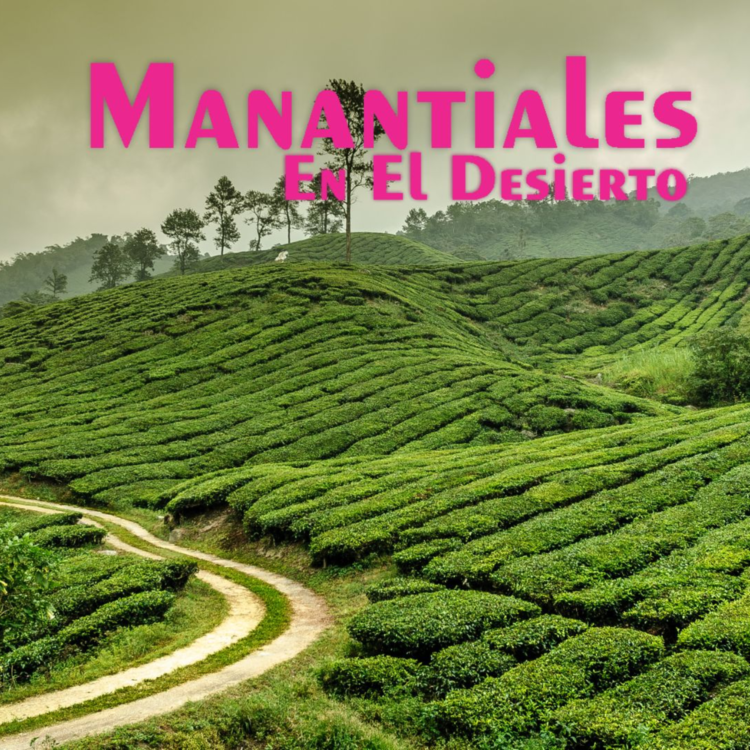 Manantiales en el Desierto - 19 de Abril episode artwork