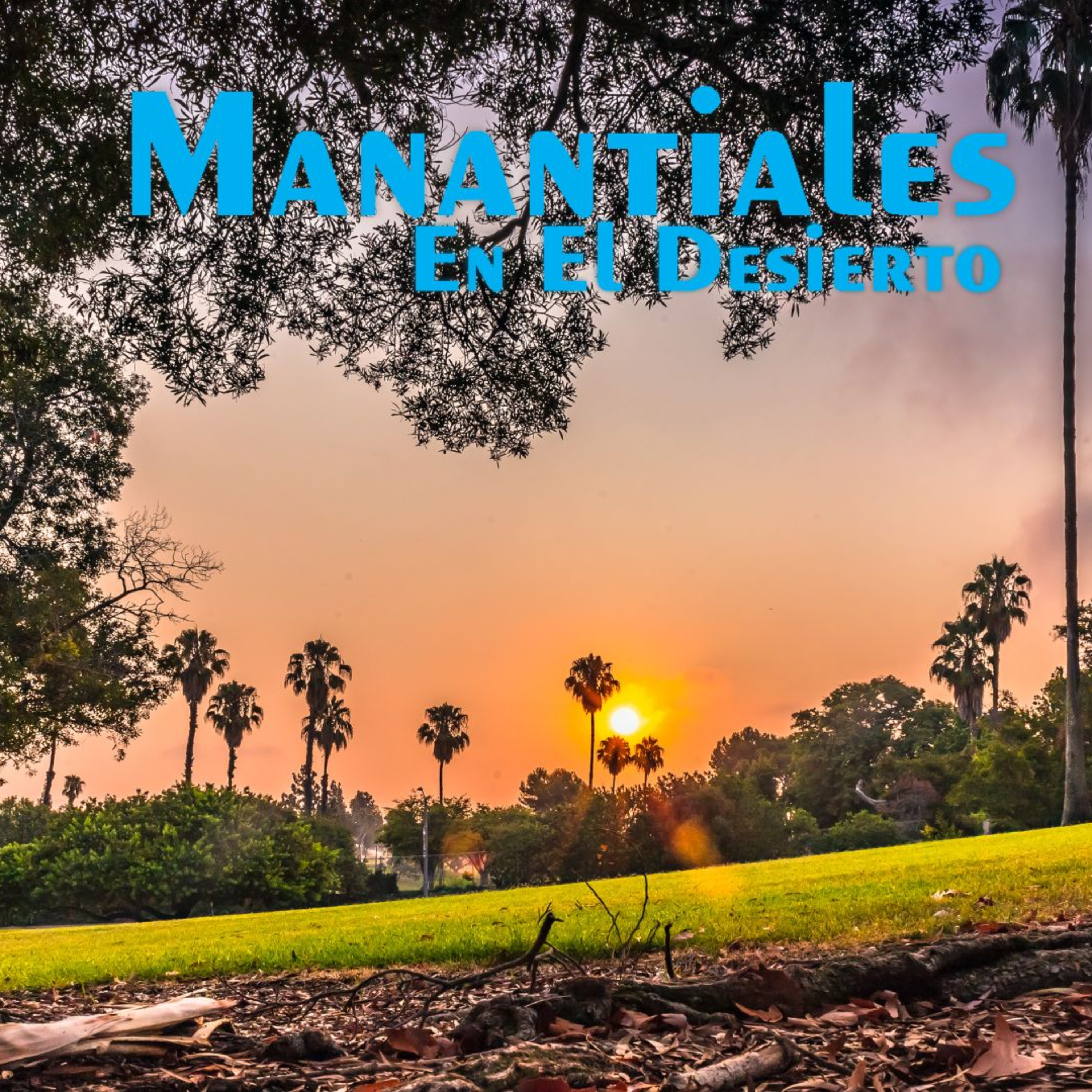 Manantiales en el Desierto - 22 de Abril episode artwork