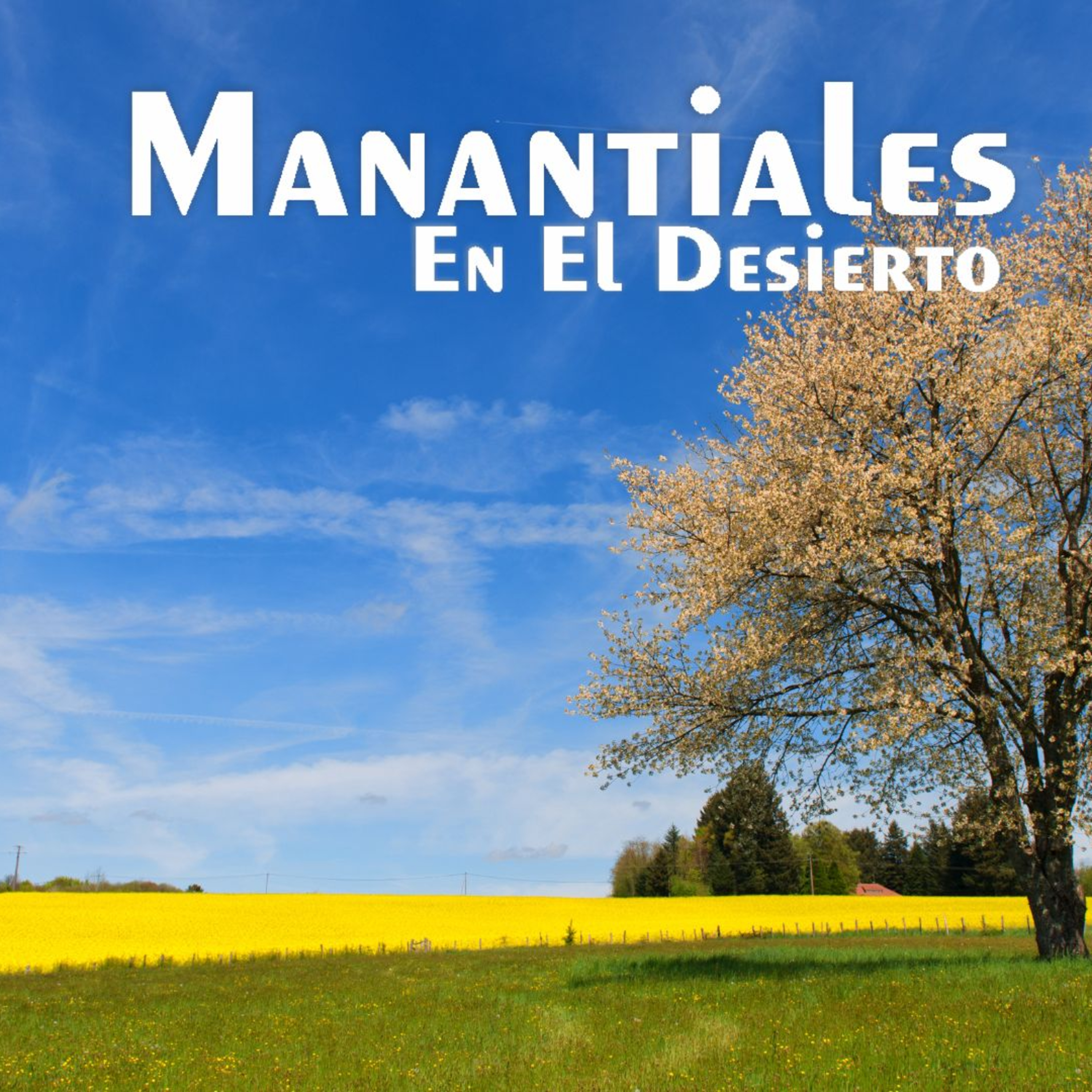 Manantiales en el Desierto - 17 de Mayo episode artwork