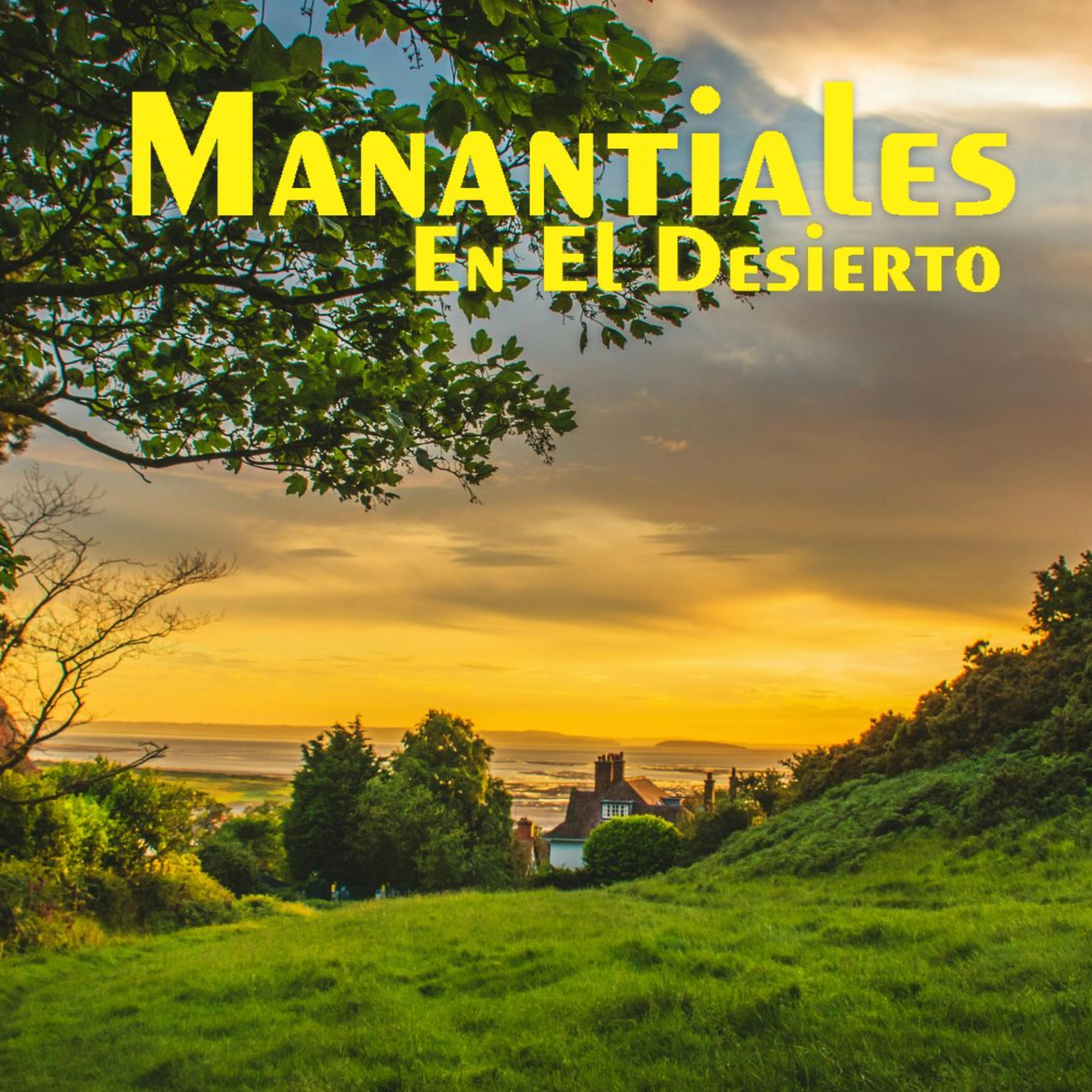 Manantiales en el Desierto - 2 de Junio episode artwork