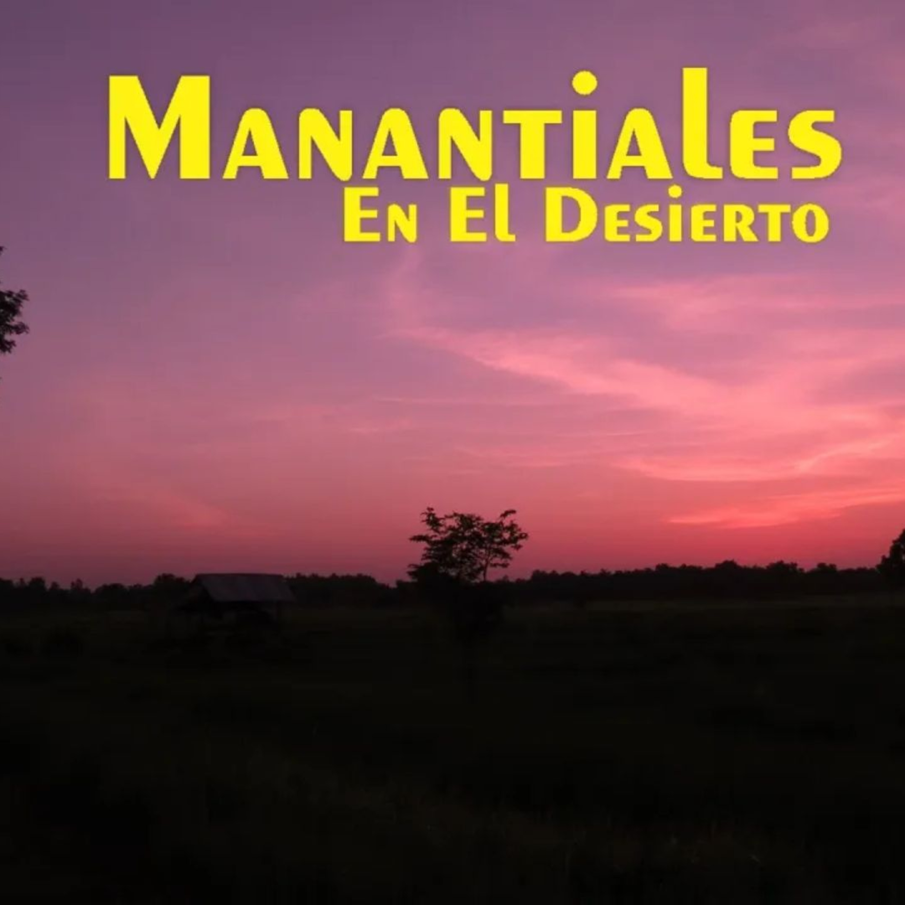 Manantiales en el Desierto - 3 de Junio episode artwork