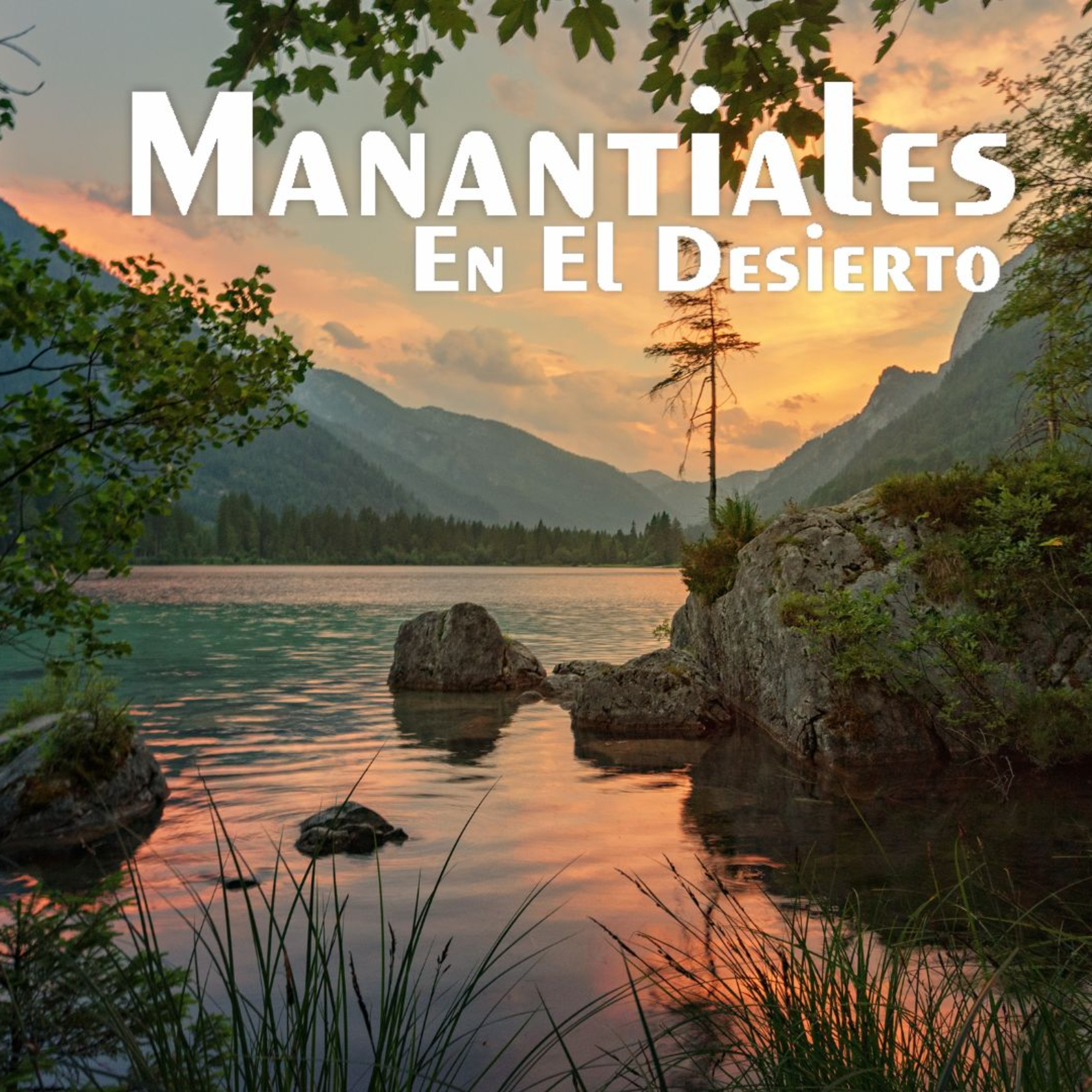 Manantiales en el Desierto - 7 de Junio episode artwork