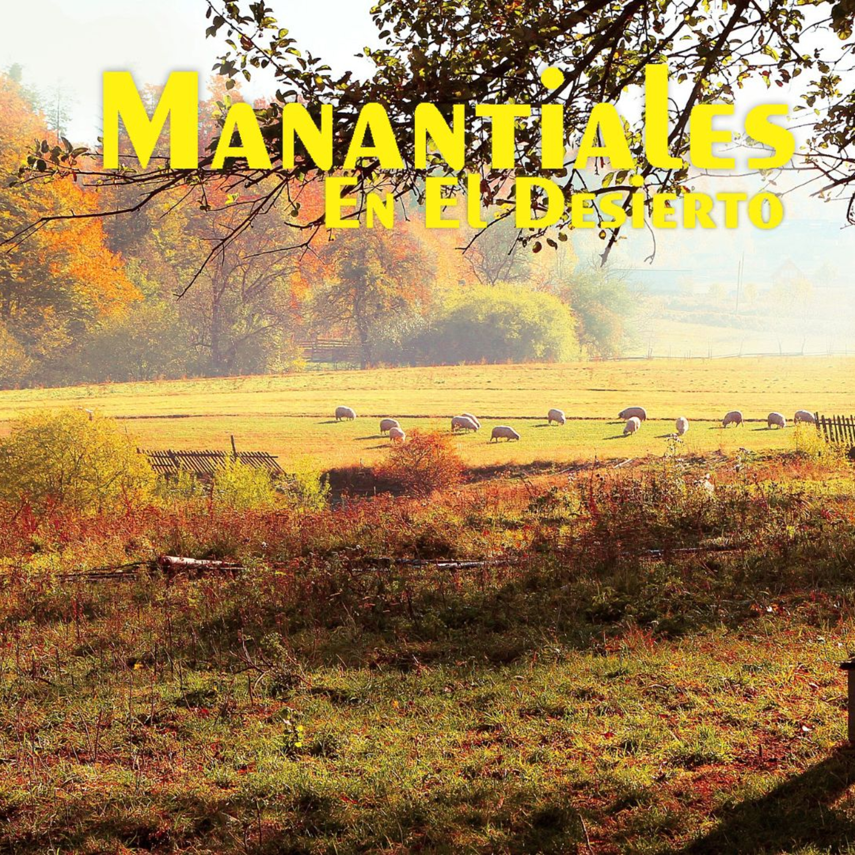 Manantiales en el Desierto - 10 de Junio episode artwork