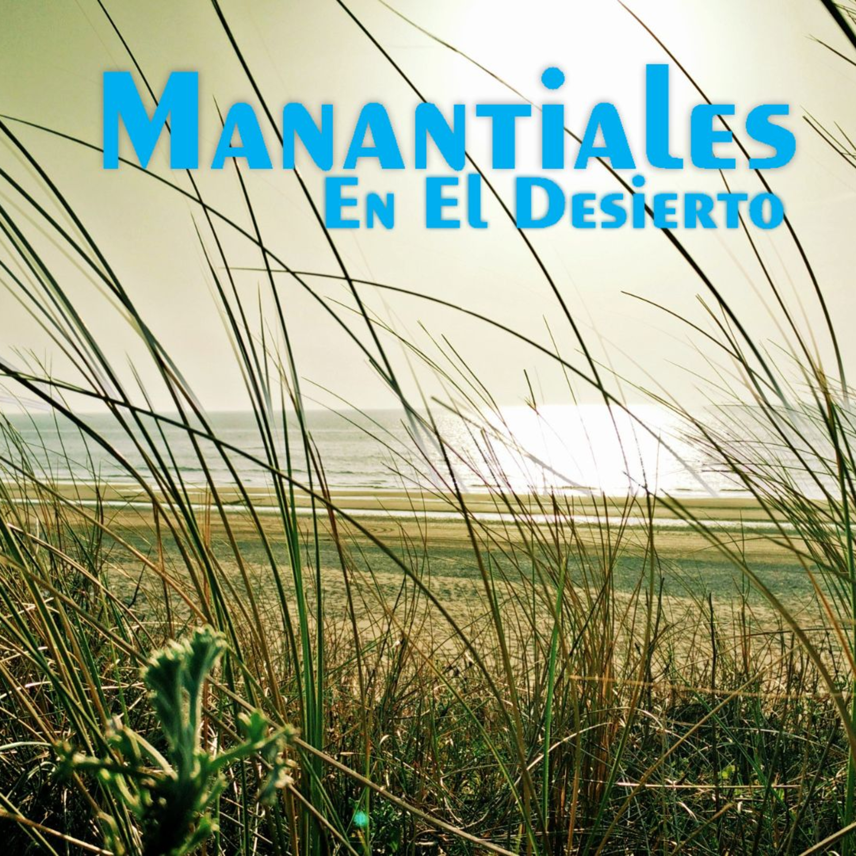 Manantiales en el Desierto - 24 de Junio episode artwork