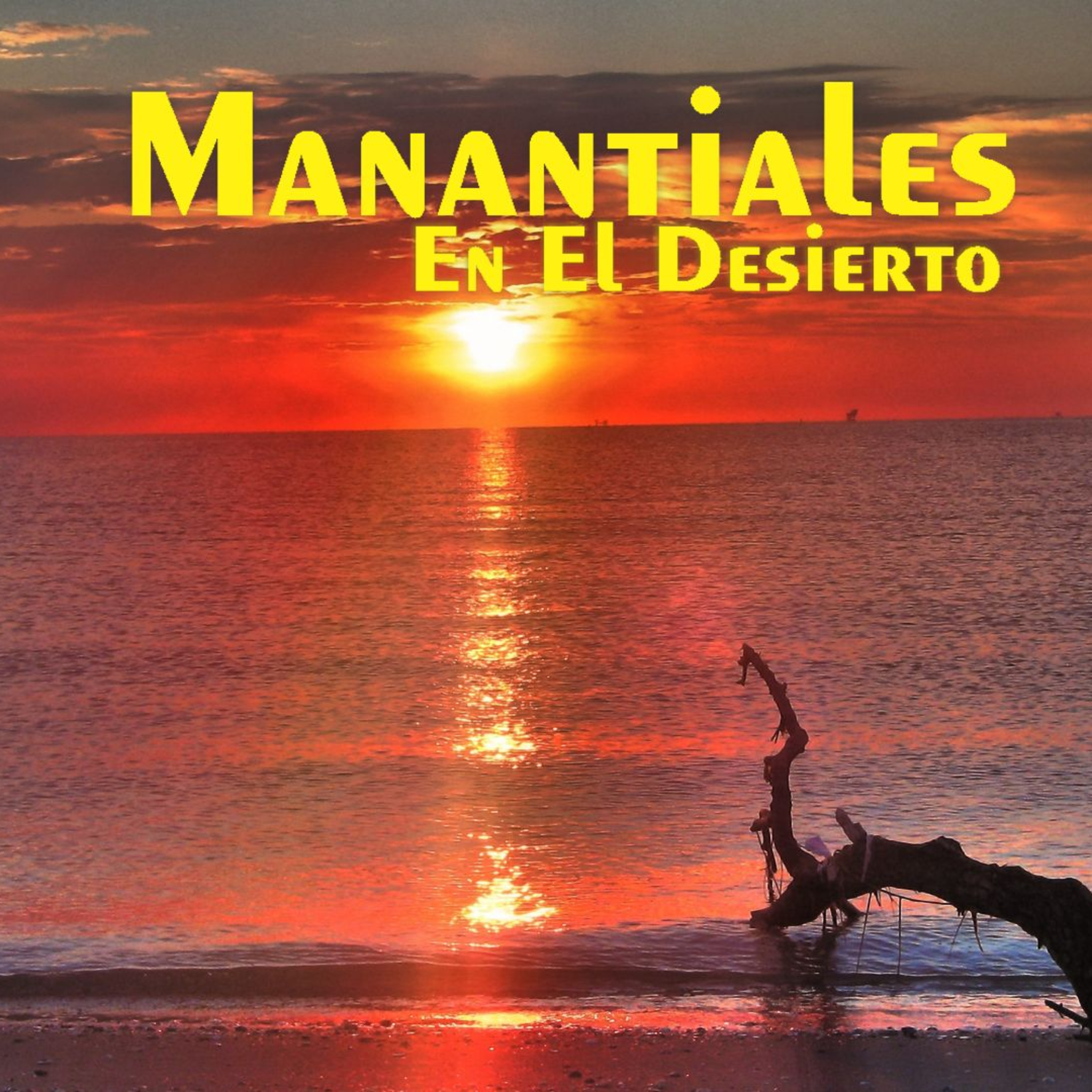 Manantiales en el Desierto - 26 de Junio episode artwork